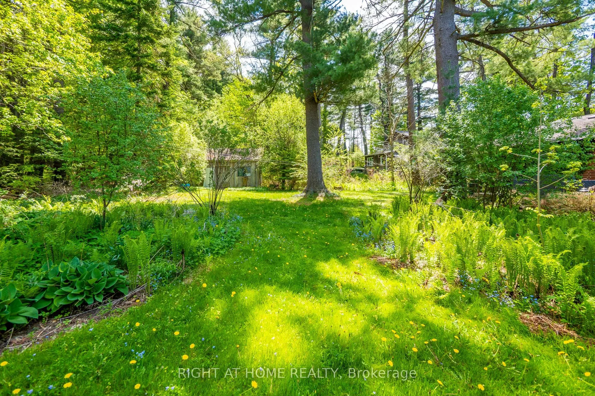 255 Shaver Road