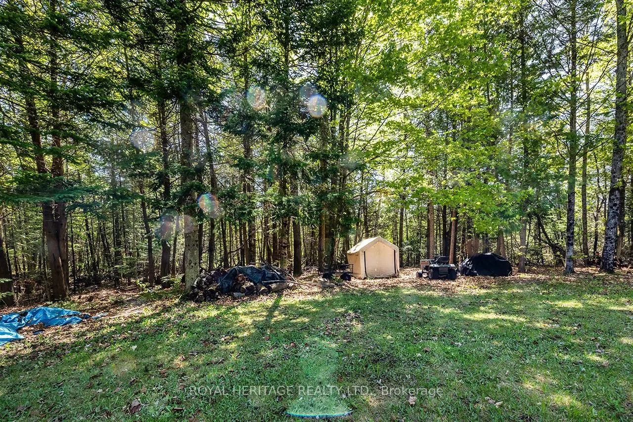 538 Spry Road