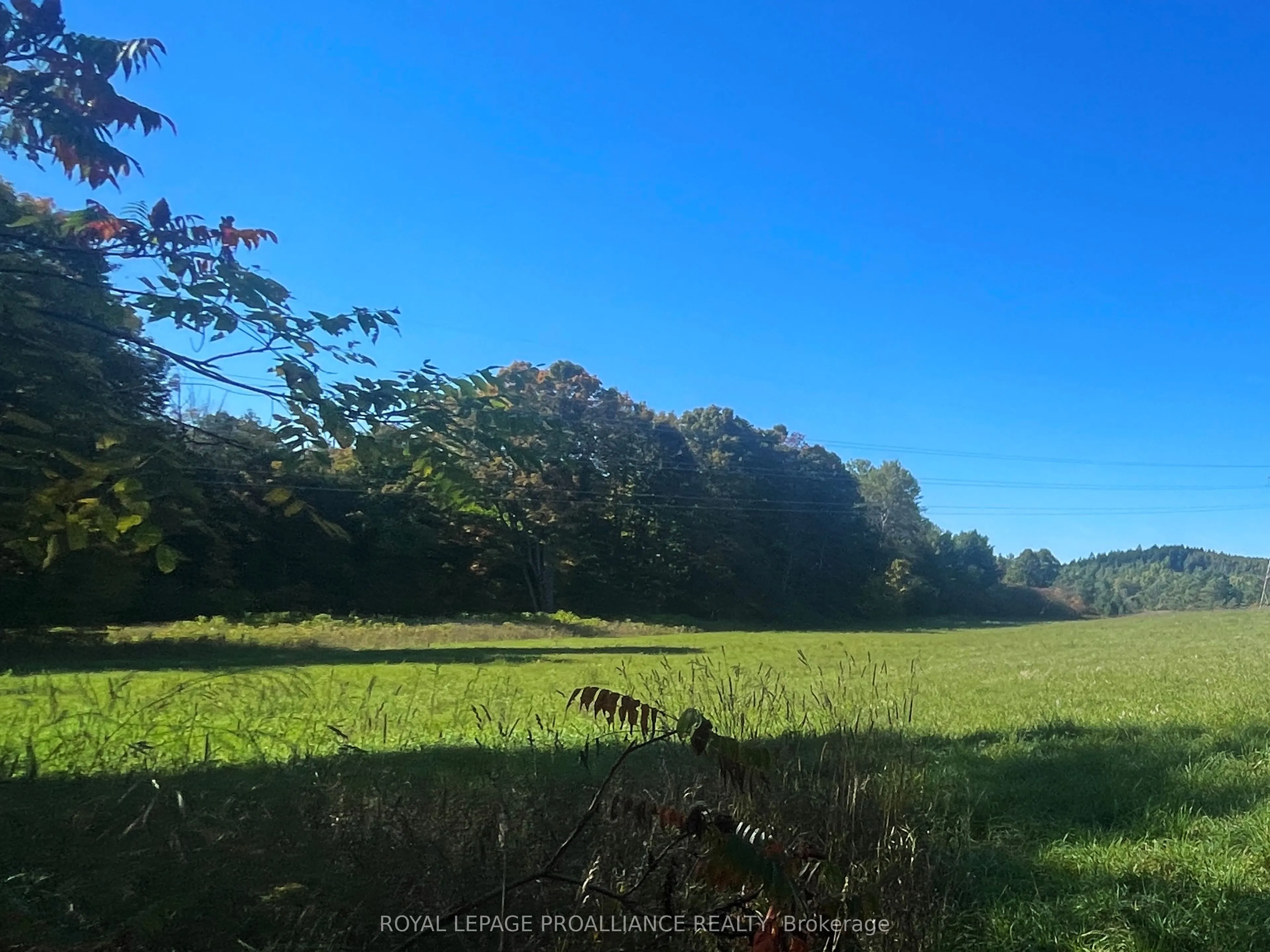 00 Jamieson Road N #Lot C