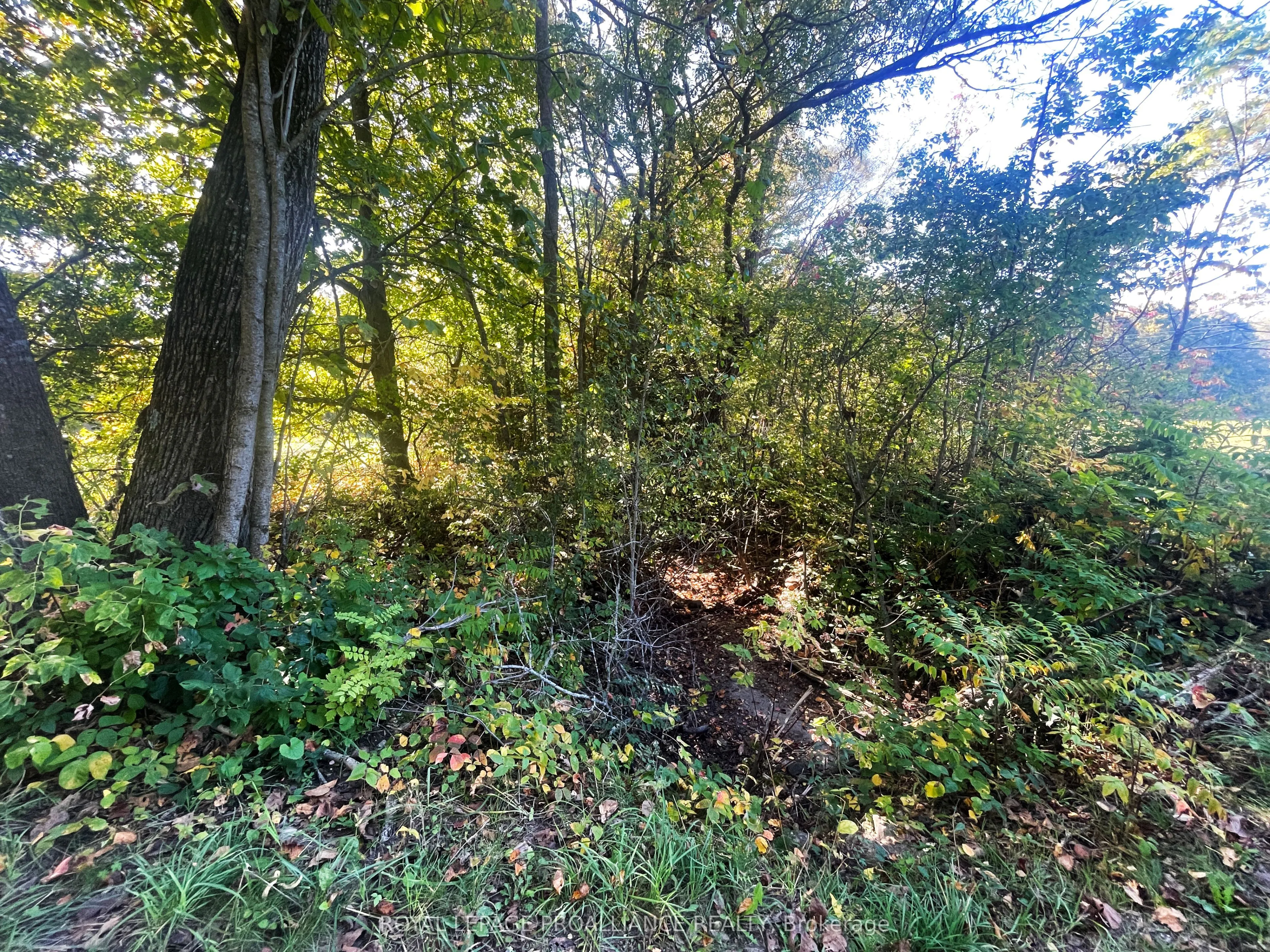 00 Jamieson Road N #Lot C