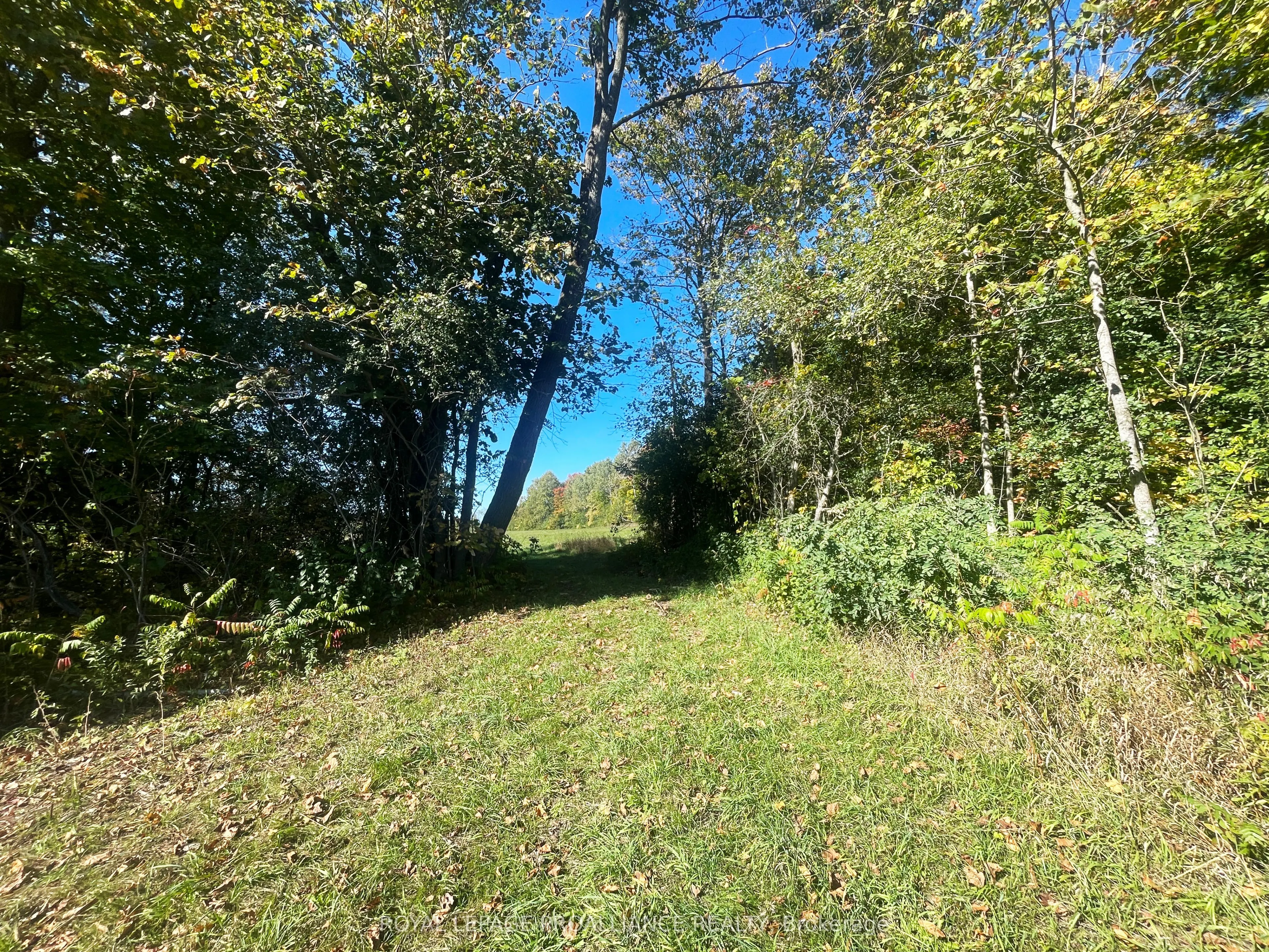 00 Jamieson Road N #Lot C