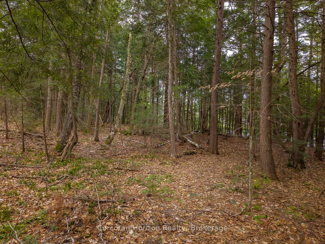 South Lot 18863 KAWAGAMA LAKE NORTH SHORE