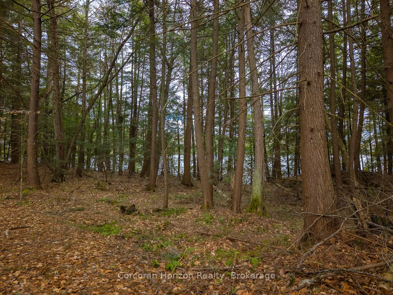 South Lot 18863 KAWAGAMA LAKE NORTH SHORE