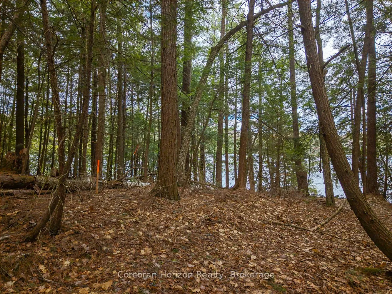 South Lot 18863 KAWAGAMA LAKE NORTH SHORE