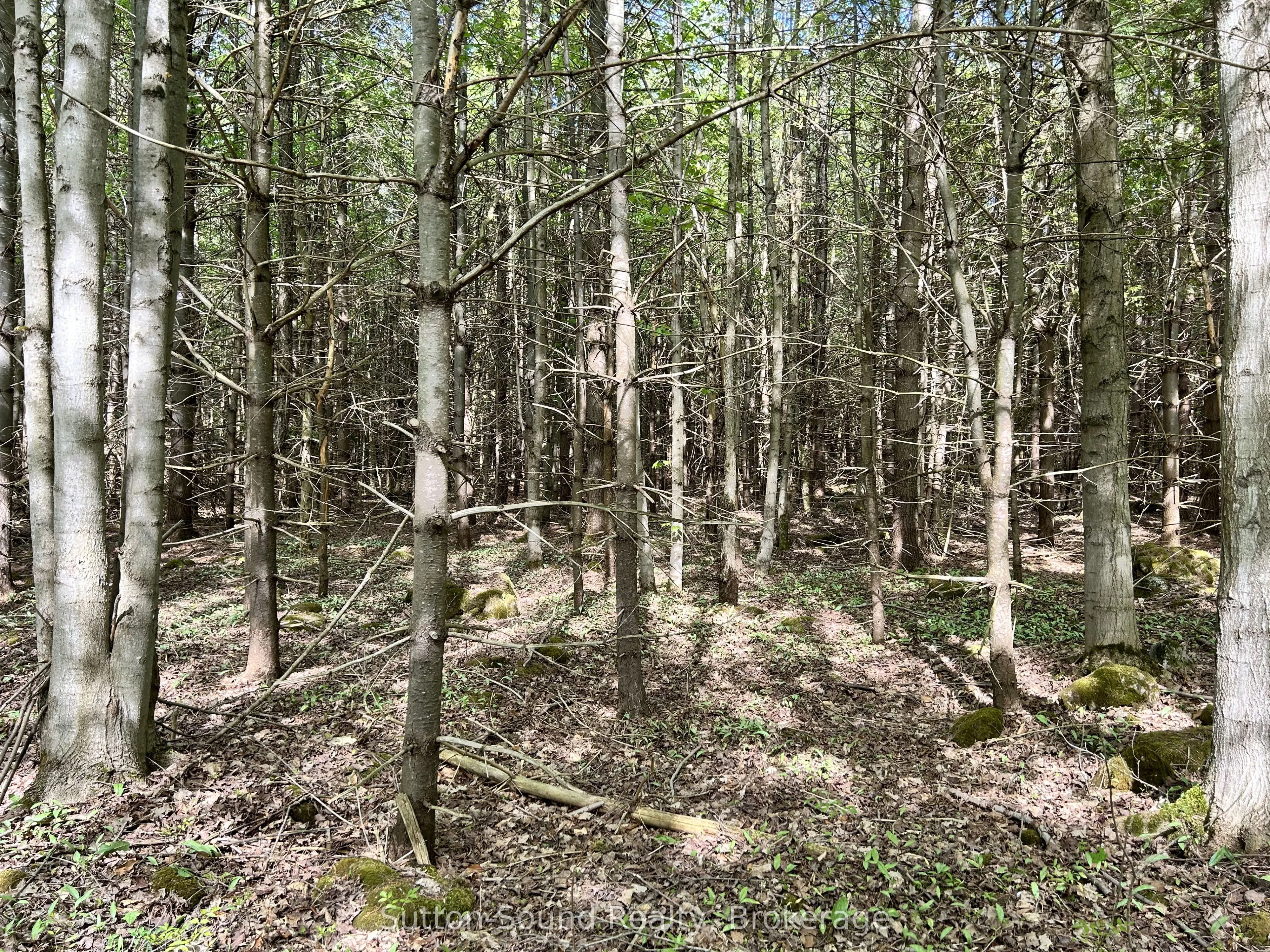 Lot 24 Concession 14 Keppel Concession