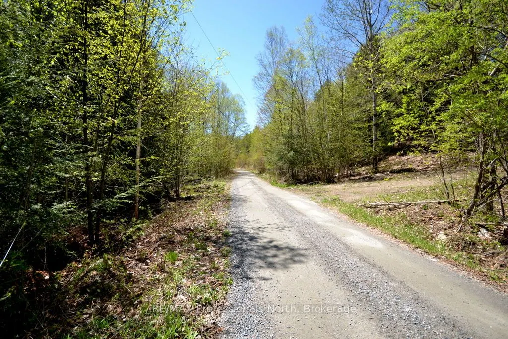 TBD Basshaunt Lake Road