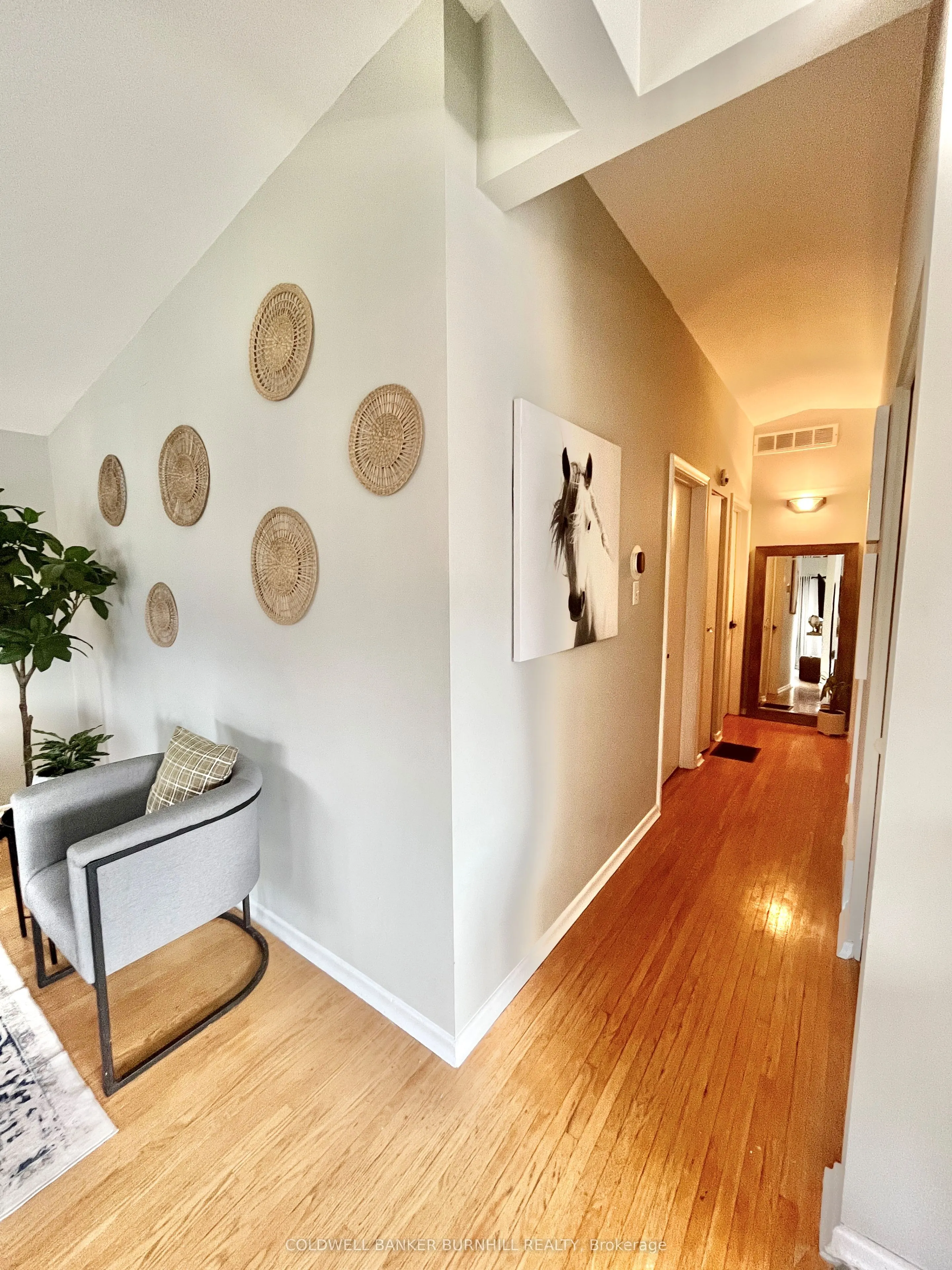 241 Thorner Drive