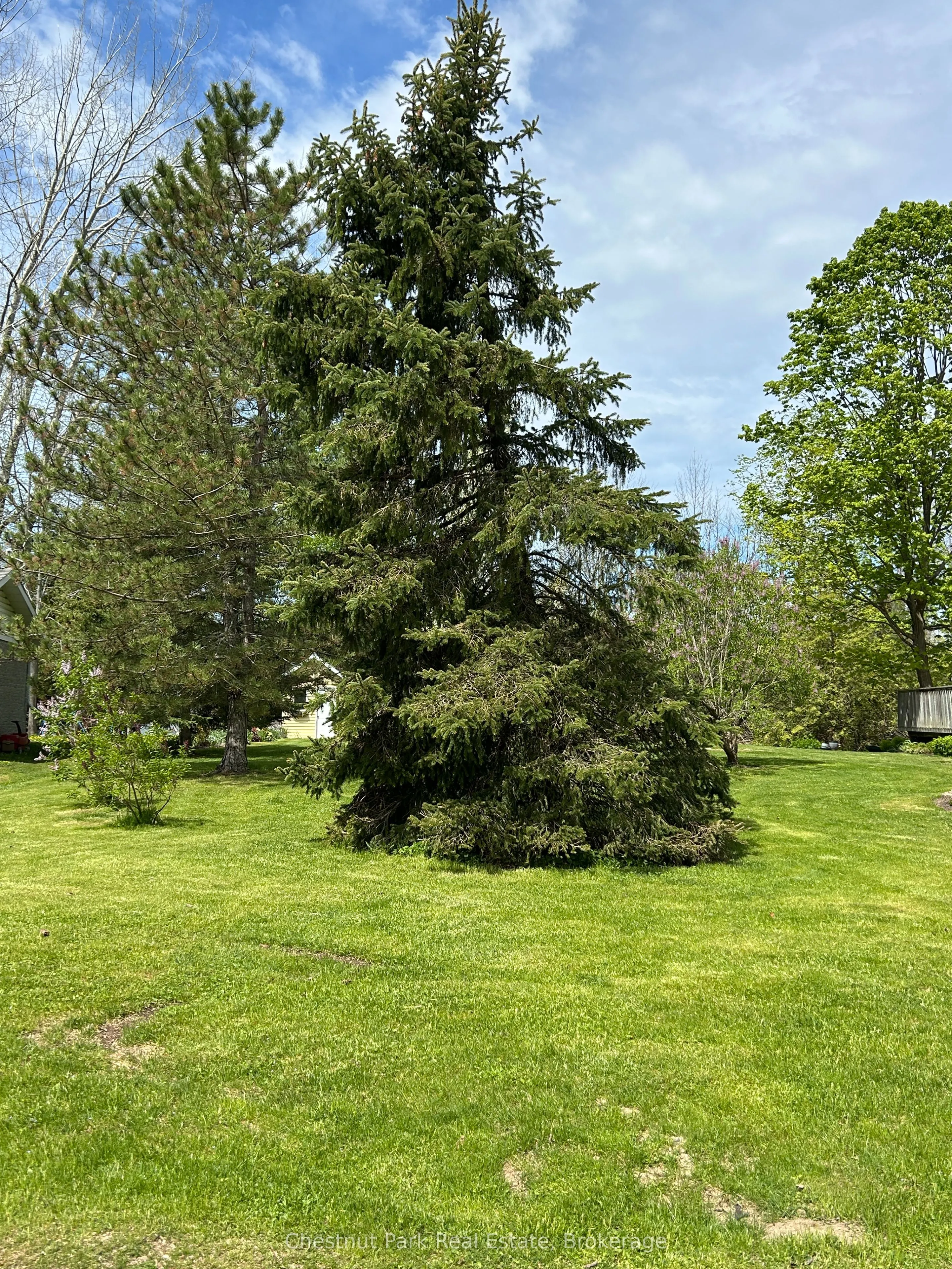 13 Pollard Drive