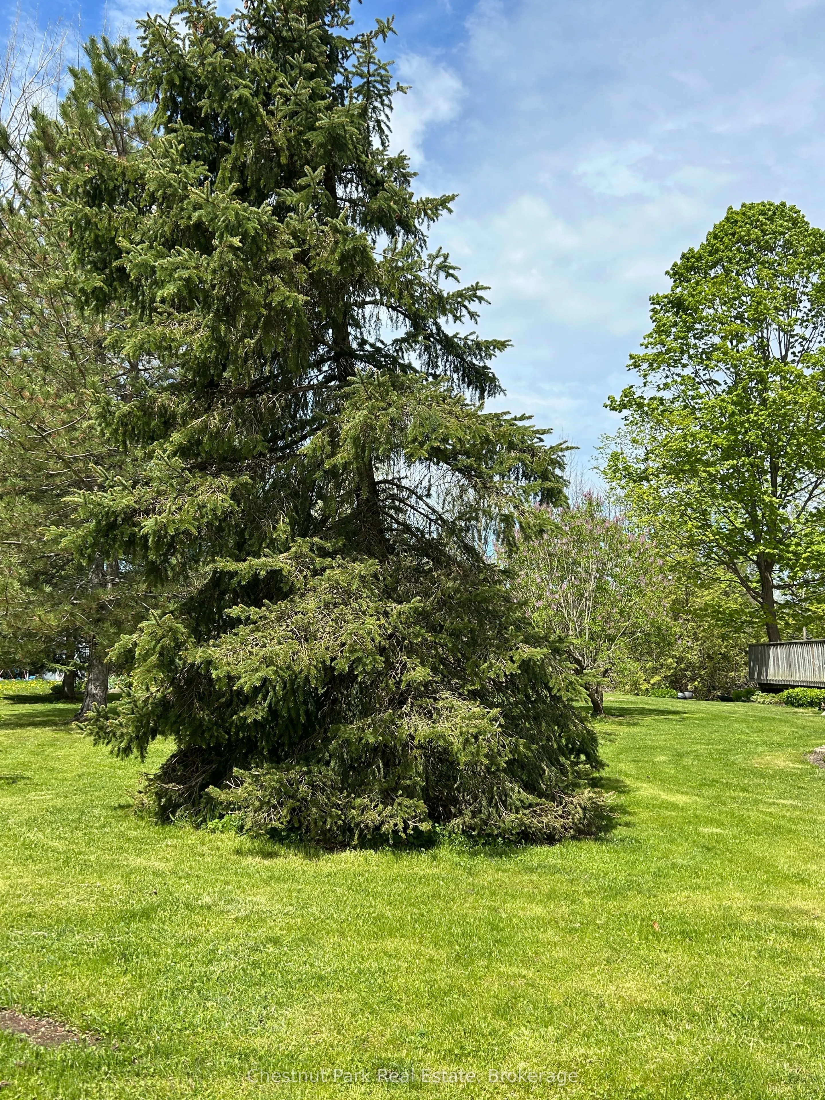 13 Pollard Drive
