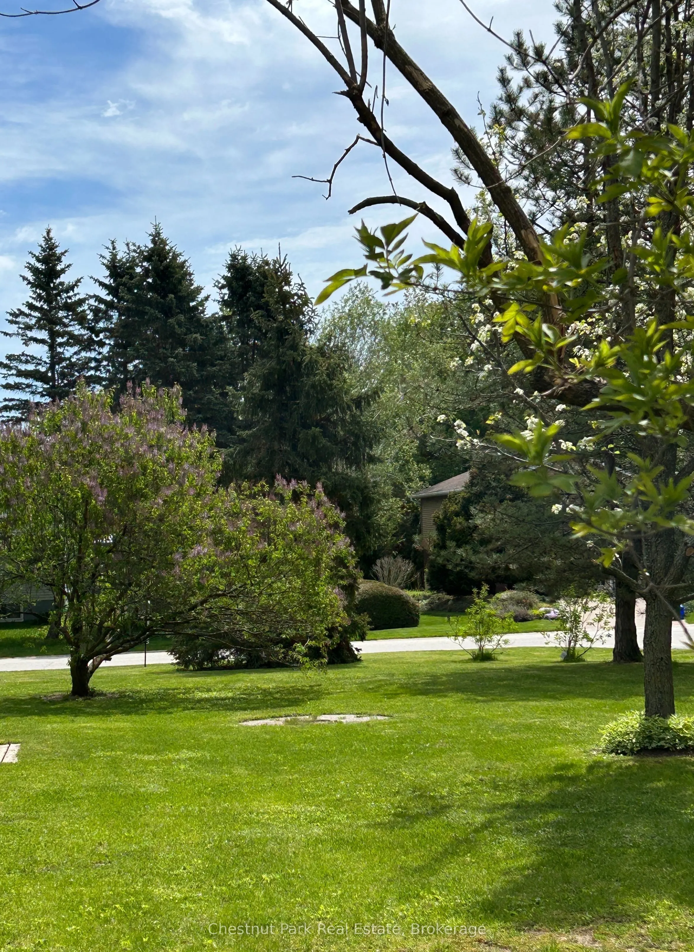 13 Pollard Drive