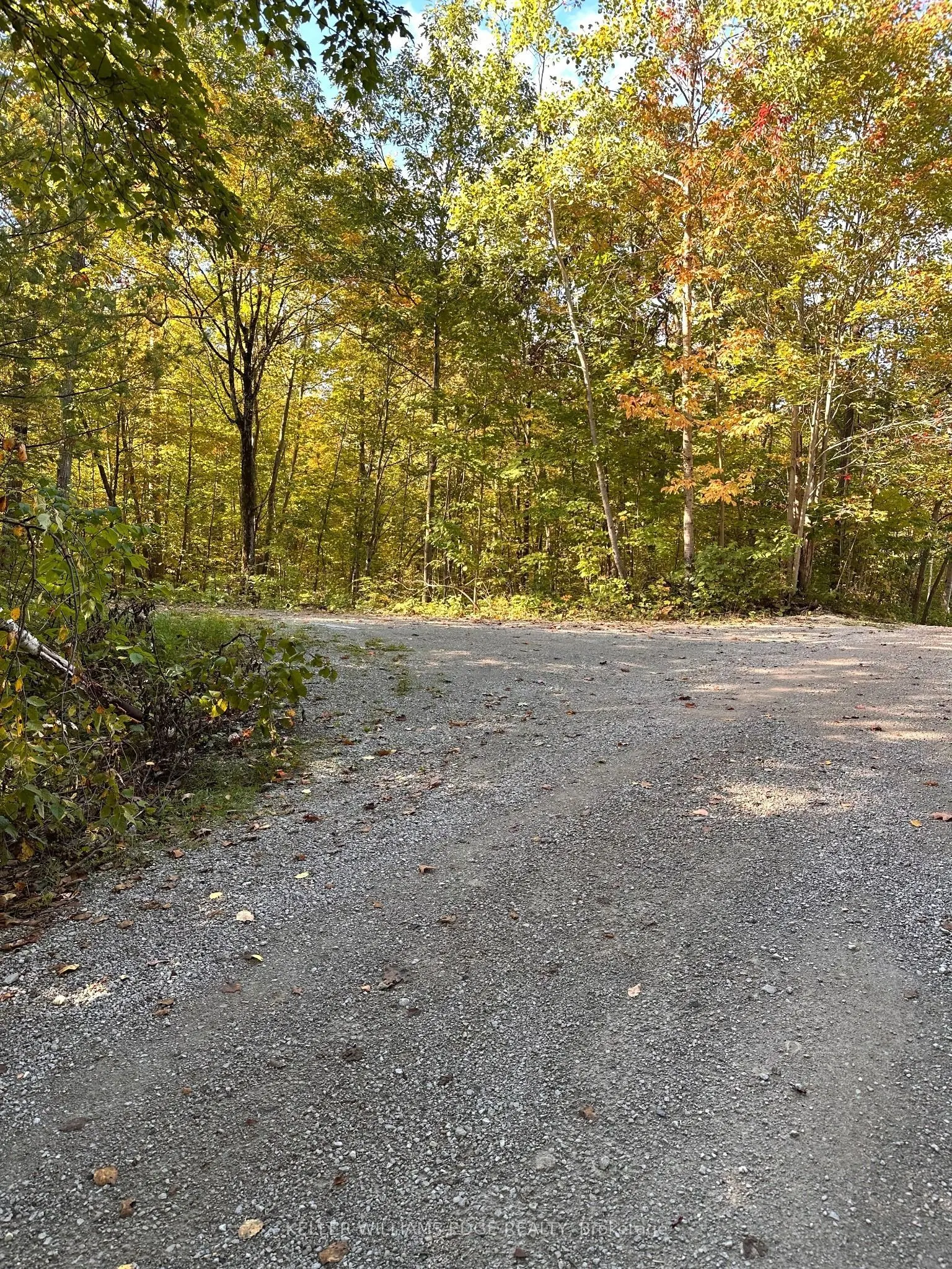216 Smooth Rock Road