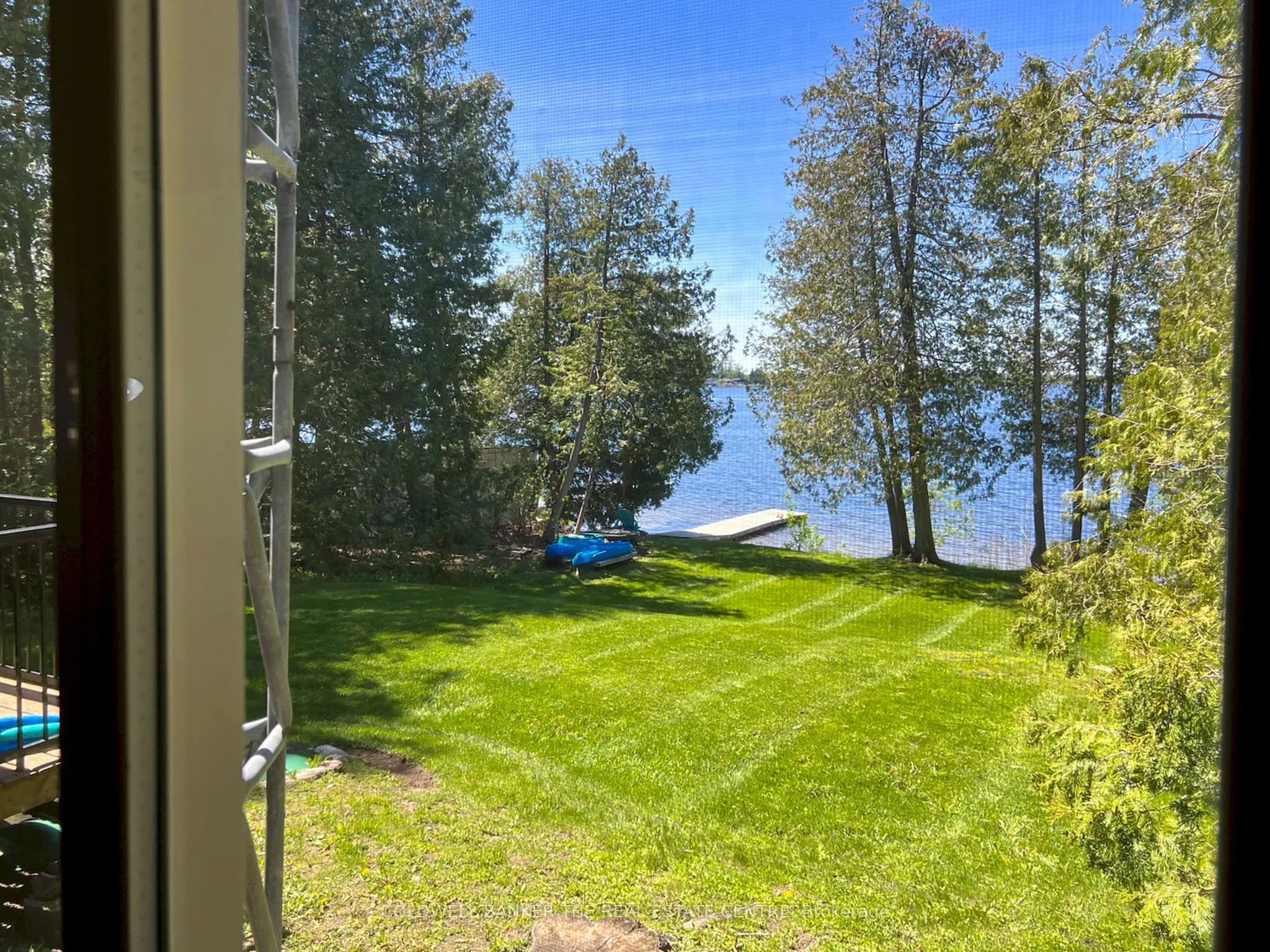 46 Iris Drive