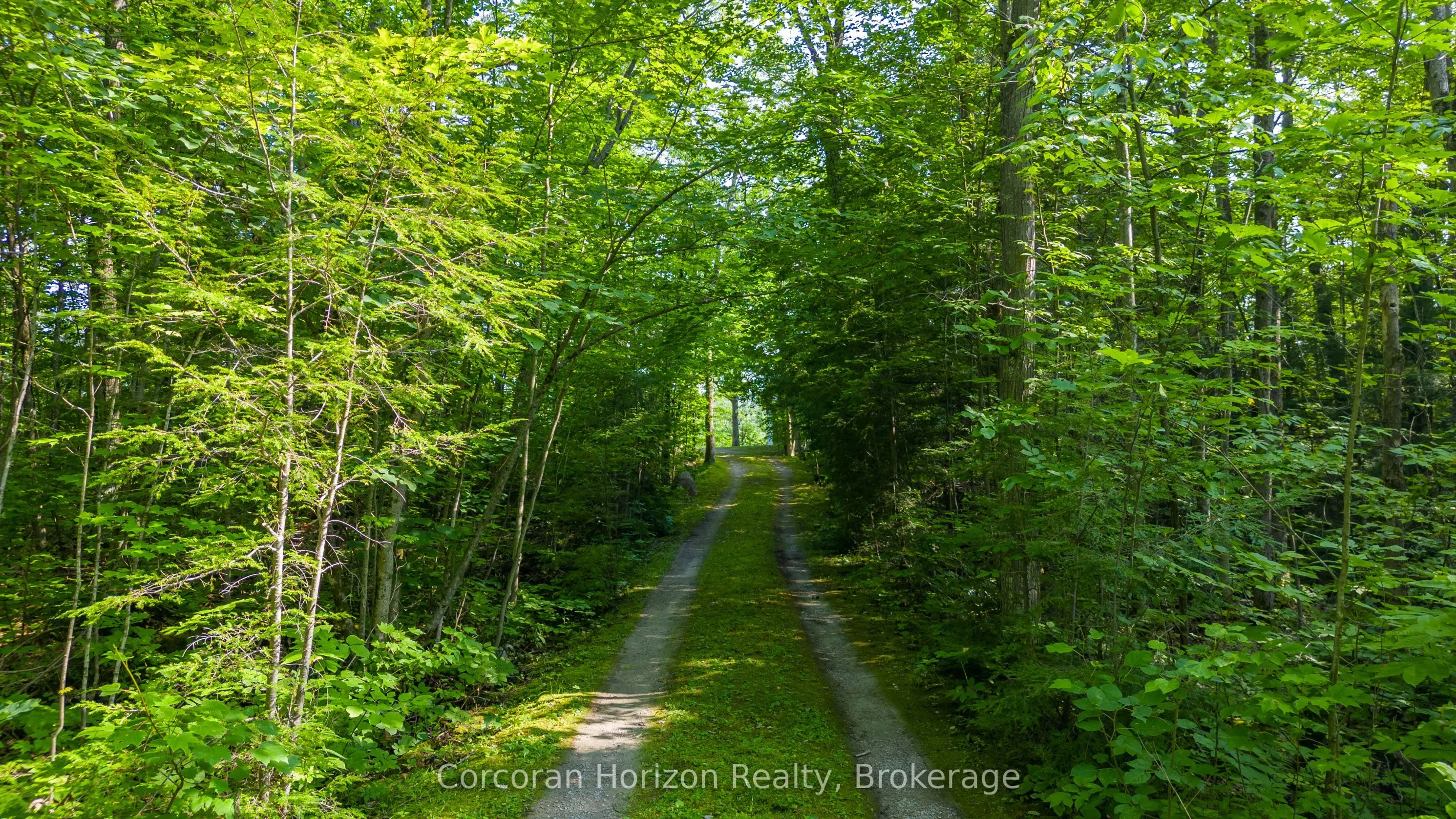 959 HARRISON Trail