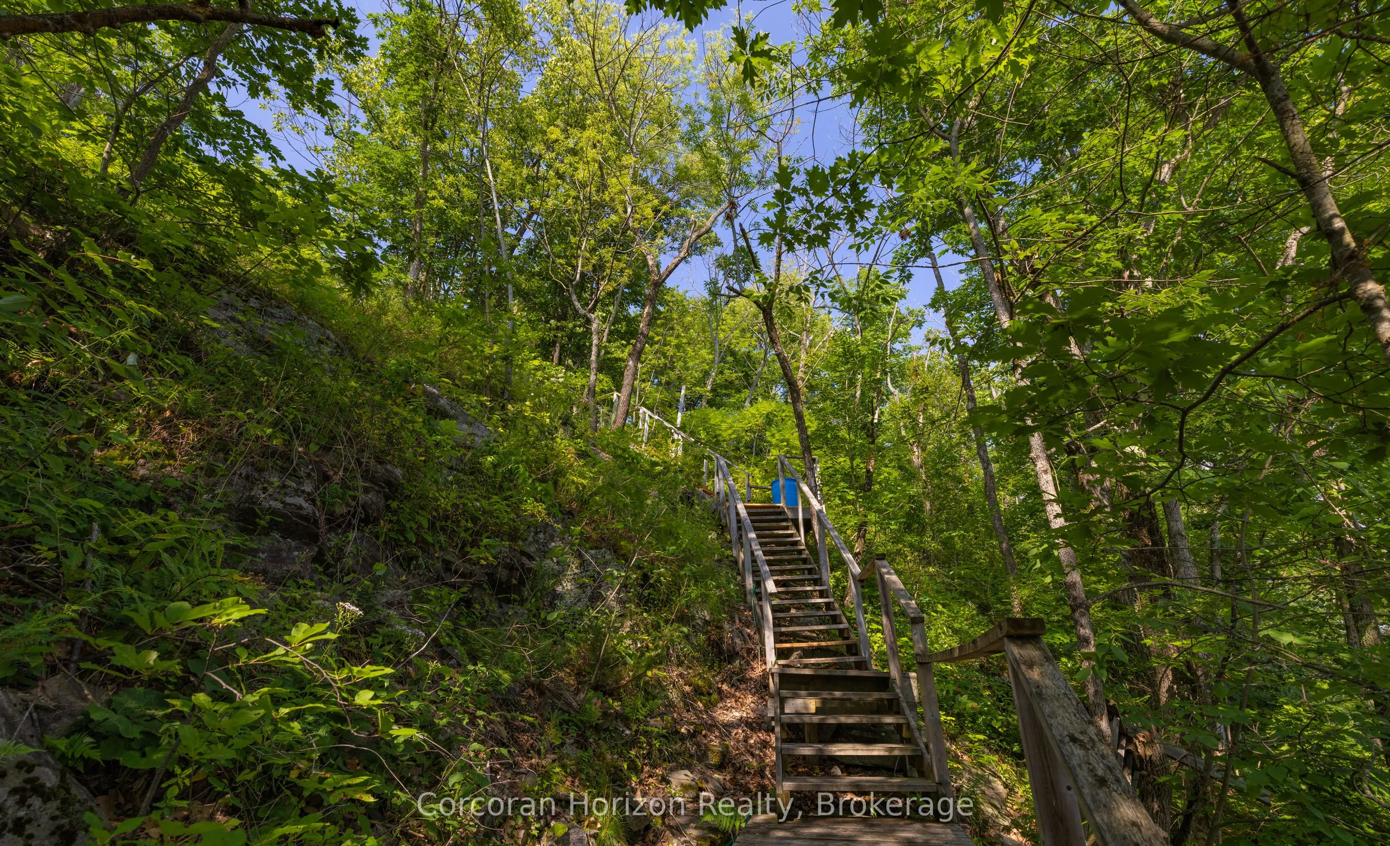 959 HARRISON Trail