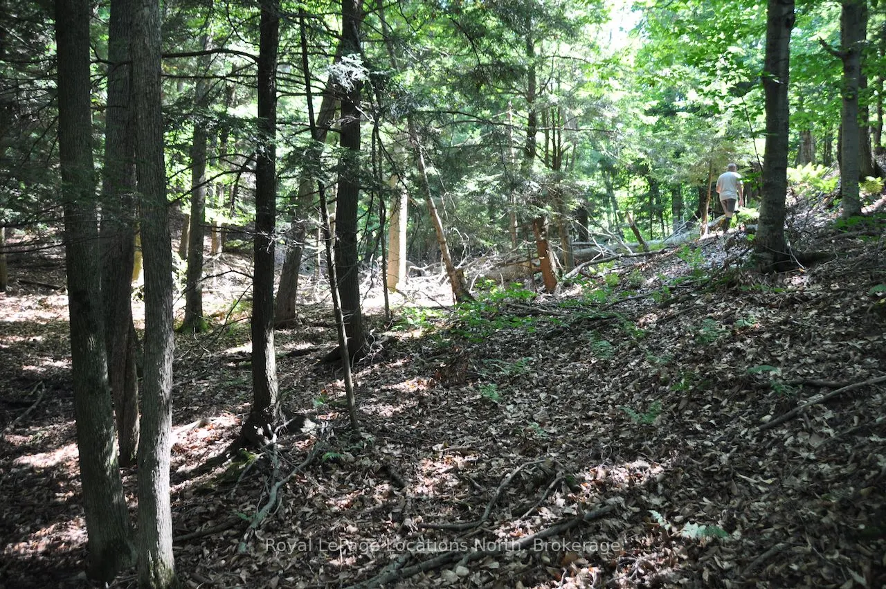 LOT 21 BAYSHORE Road