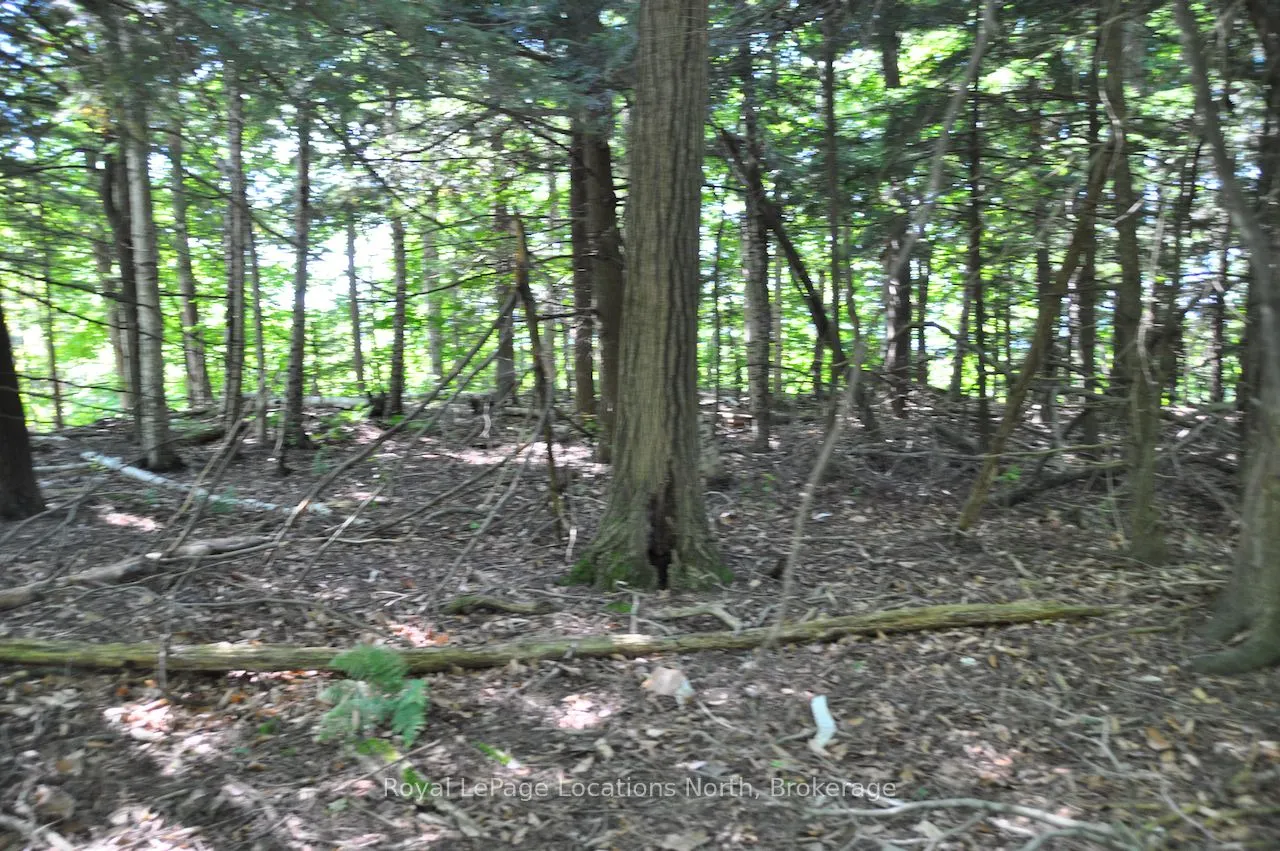 LOT 21 BAYSHORE Road