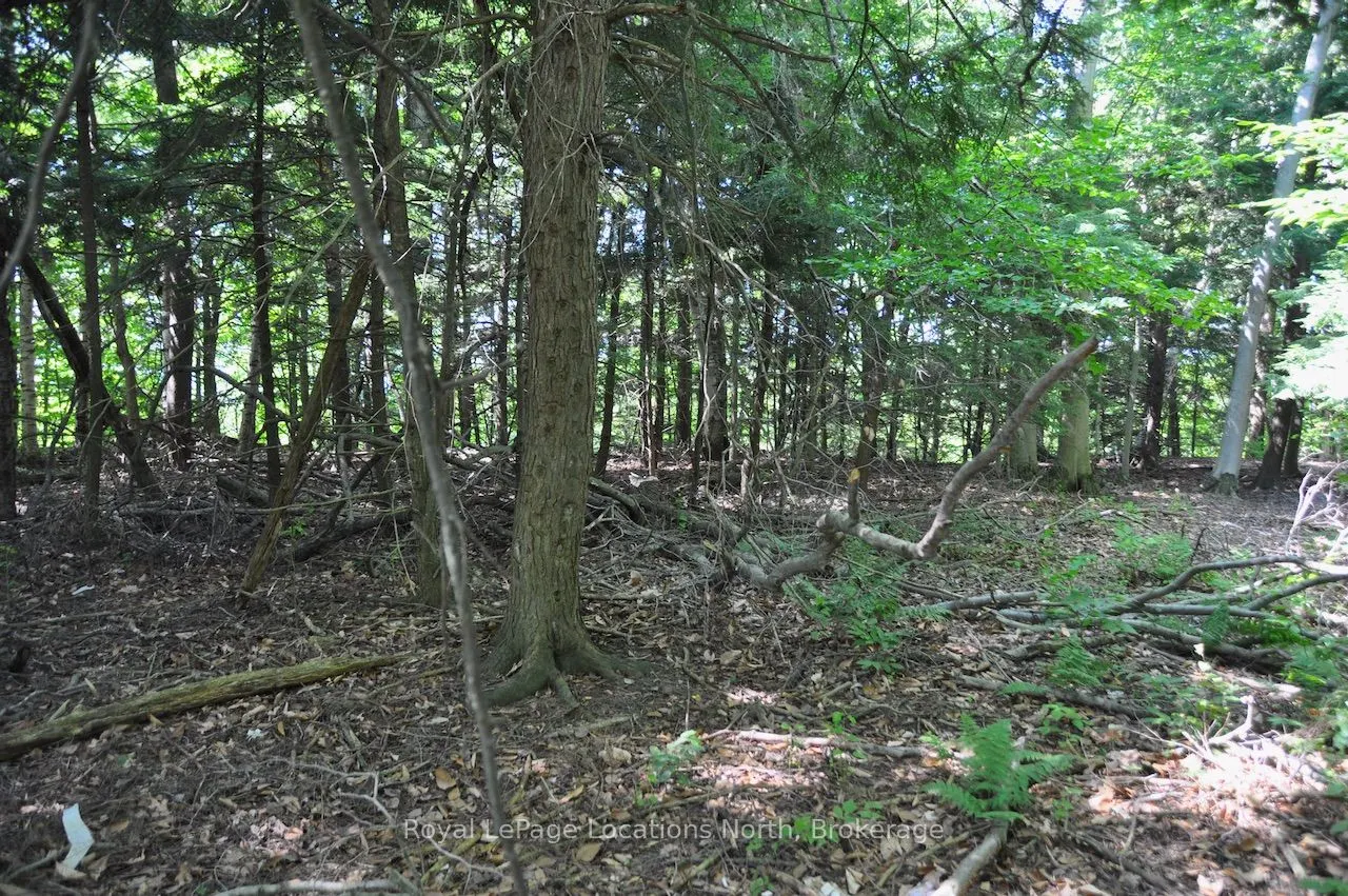 LOT 21 BAYSHORE Road