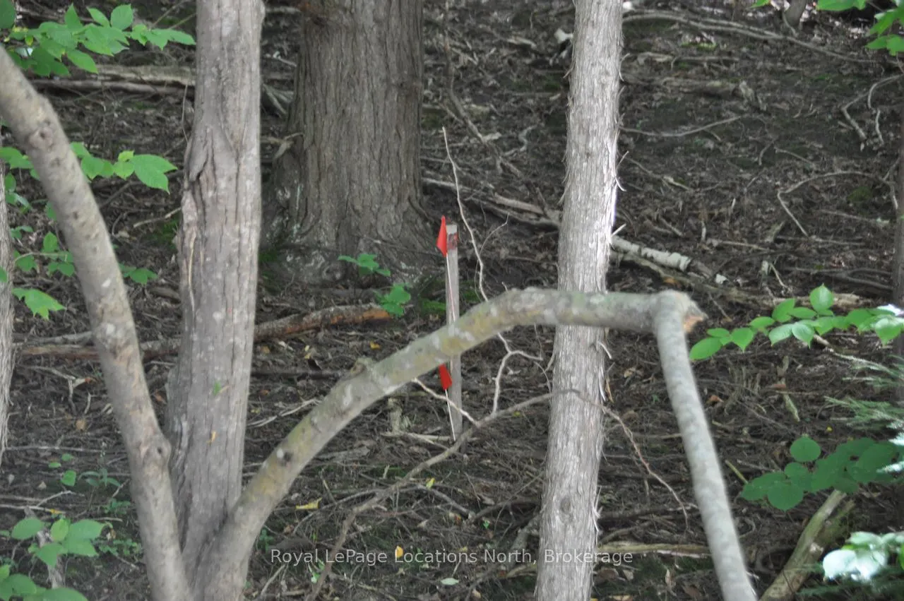 LOT 21 BAYSHORE Road