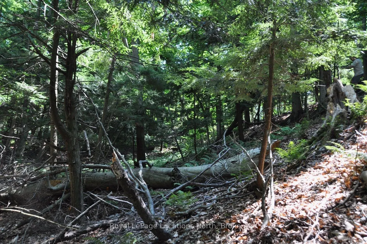 LOT 21 BAYSHORE Road