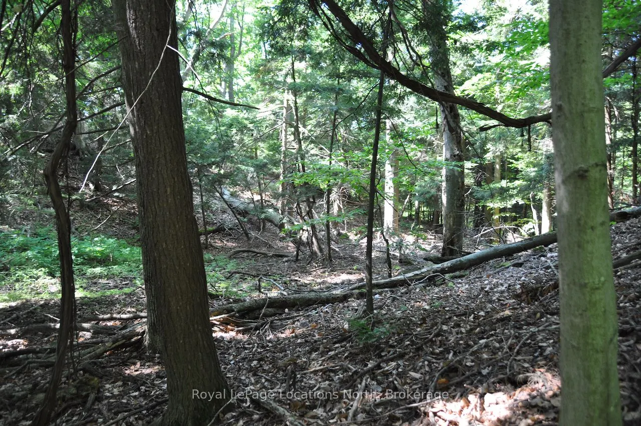 LOT 21 BAYSHORE Road