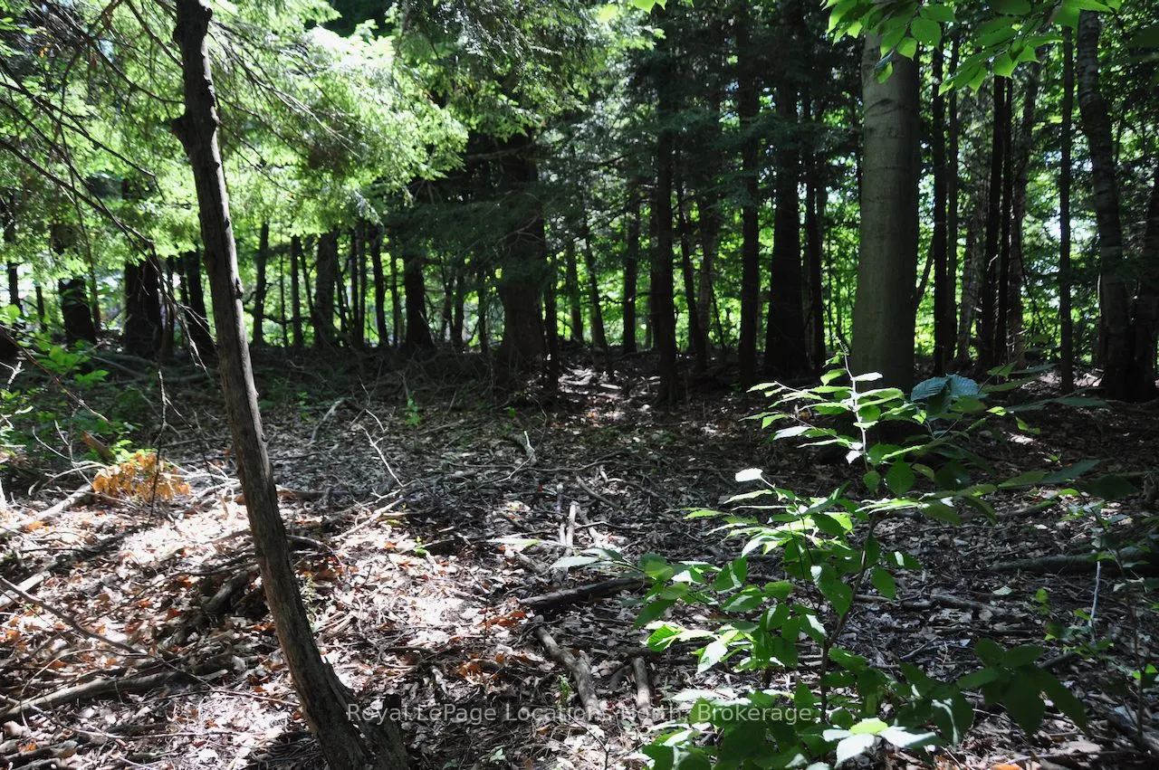 LOT 21 BAYSHORE Road