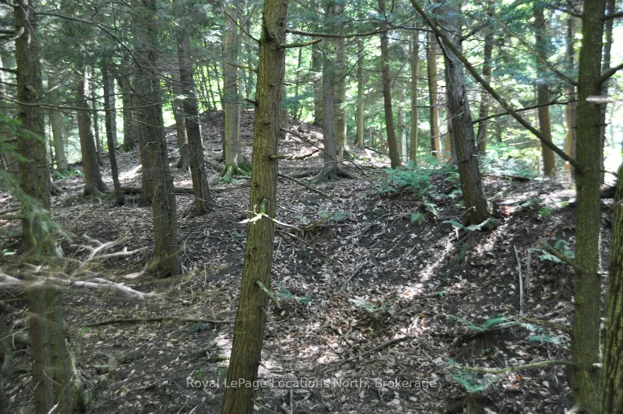 LOT 21 BAYSHORE Road