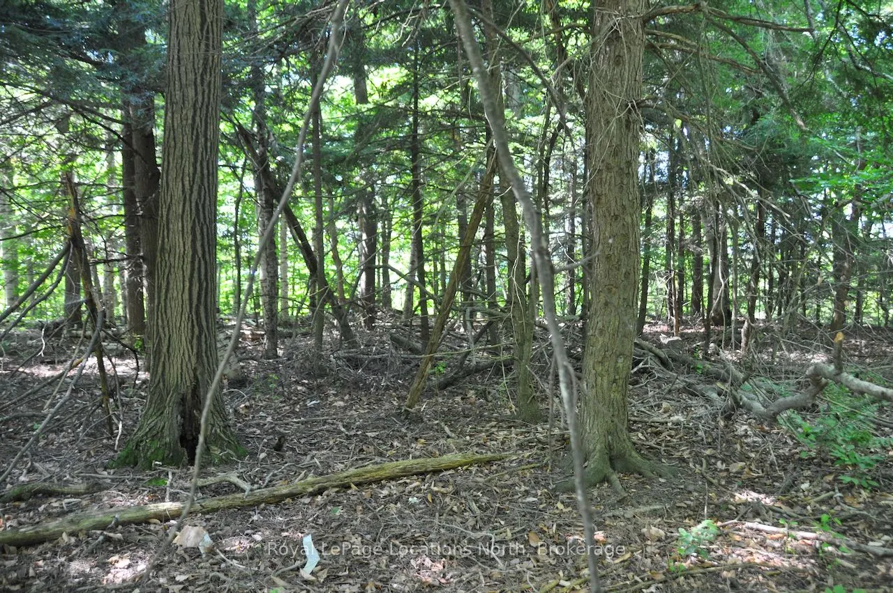 LOT 21 BAYSHORE Road
