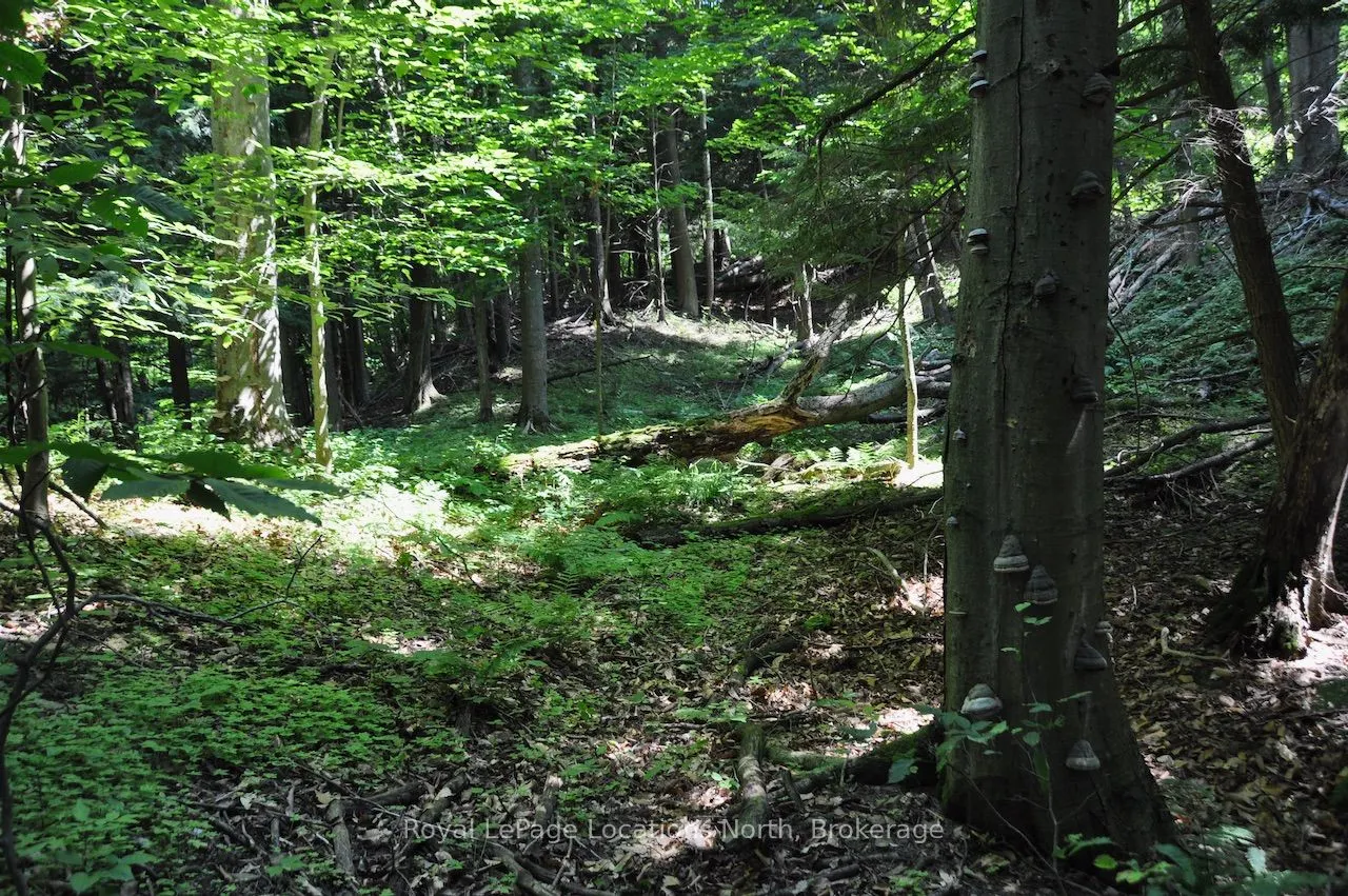 LOT 21 BAYSHORE Road