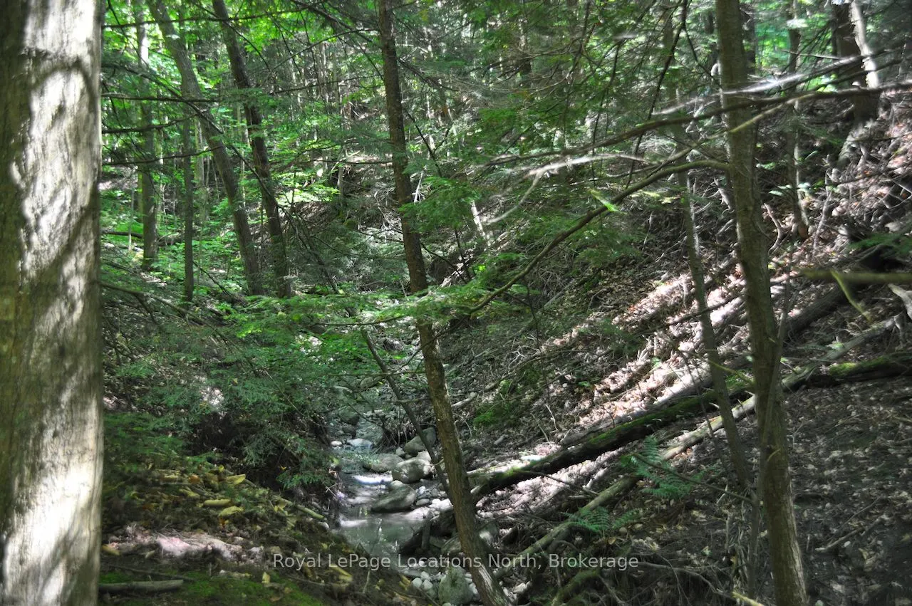 LOT 21 BAYSHORE Road