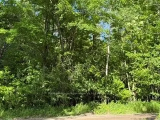 B2 PIPELINE Road