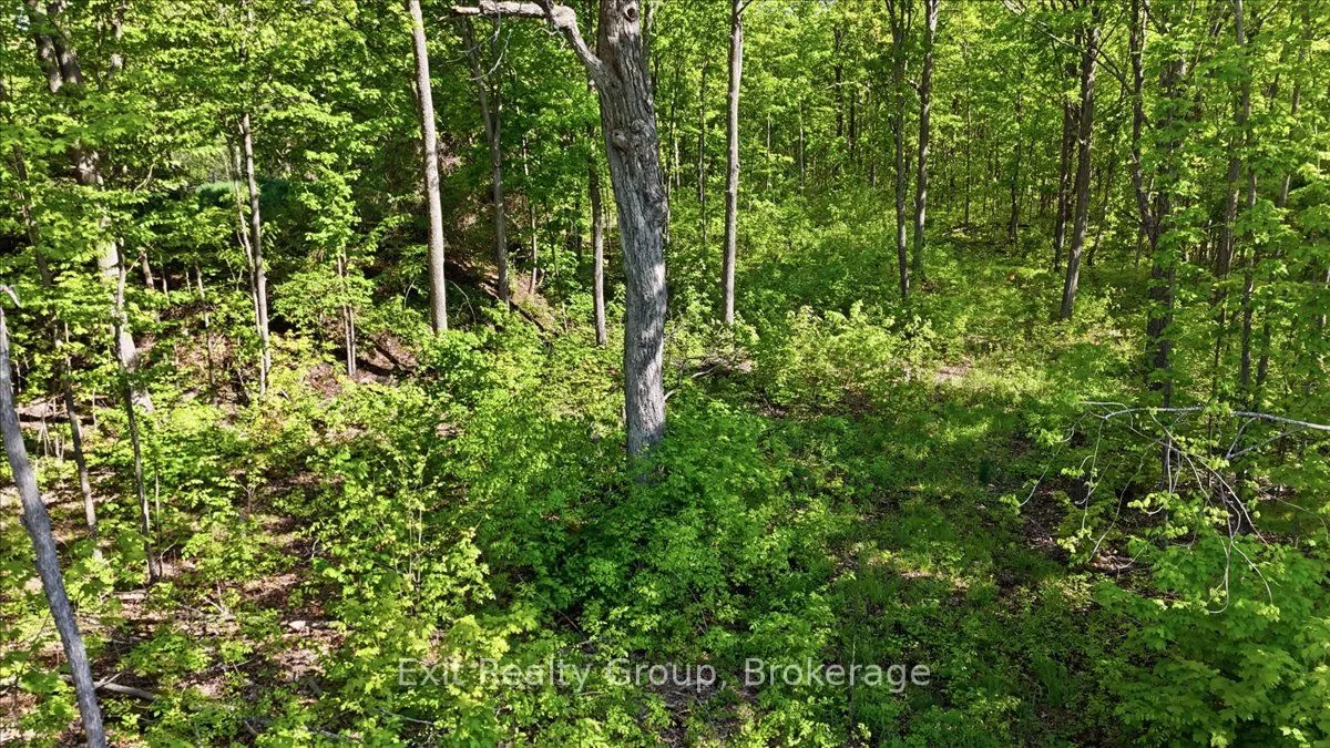 75 Spry Road