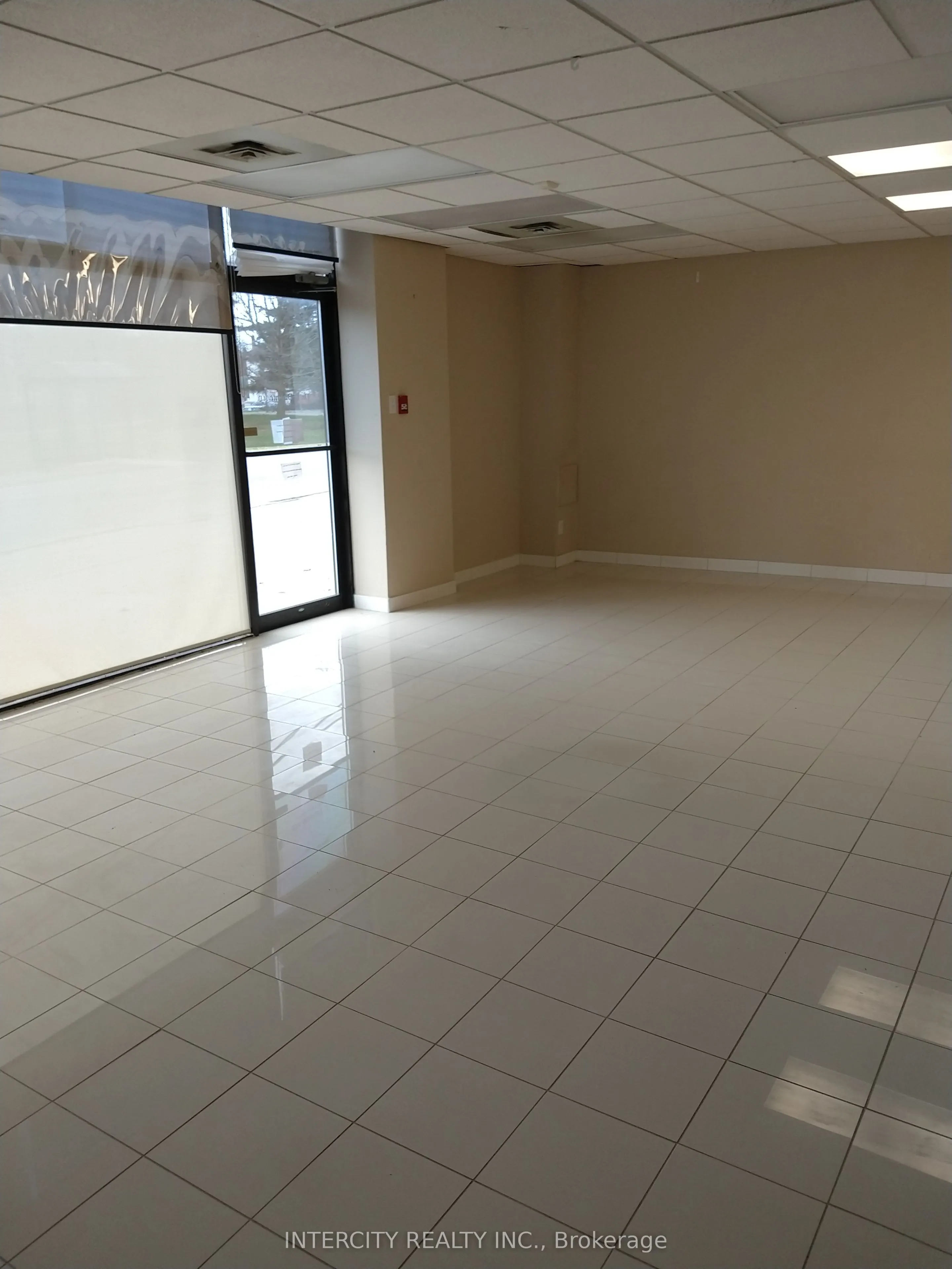 50 Cavan Street #1