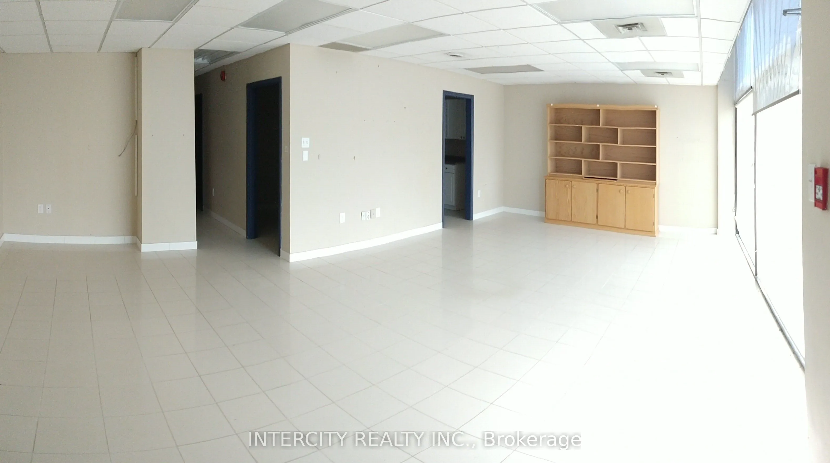 50 Cavan Street #1