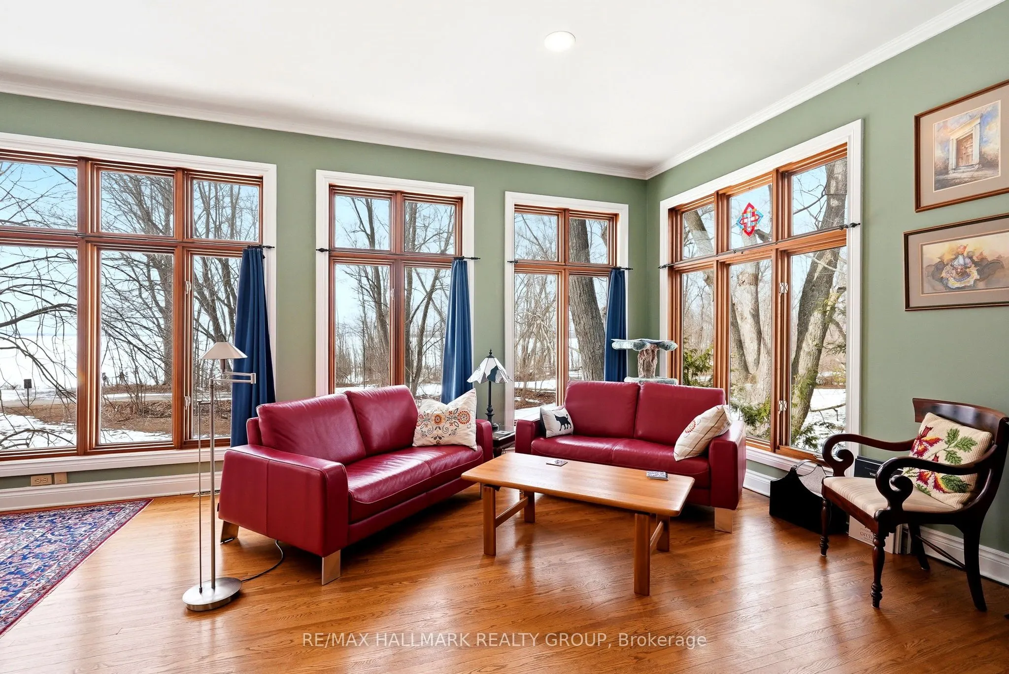 53 Scrivens Street