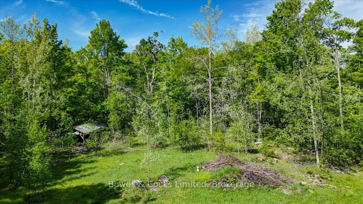 3463 County Road 44