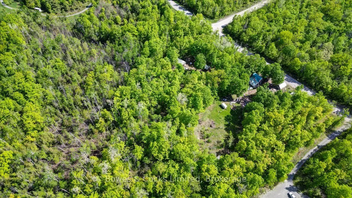 3463 County Road 44