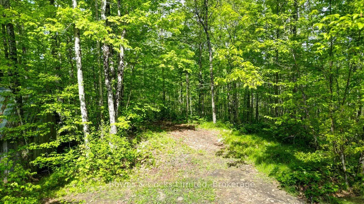 3463 County Road 44