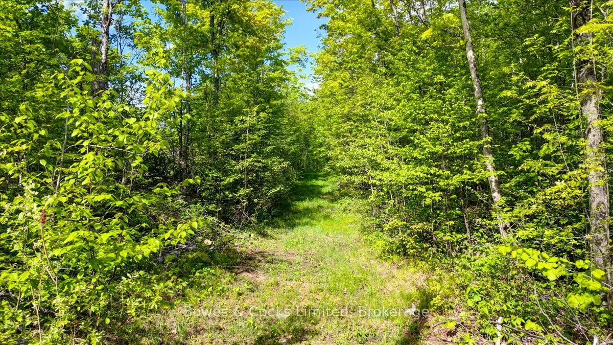 3463 County Road 44
