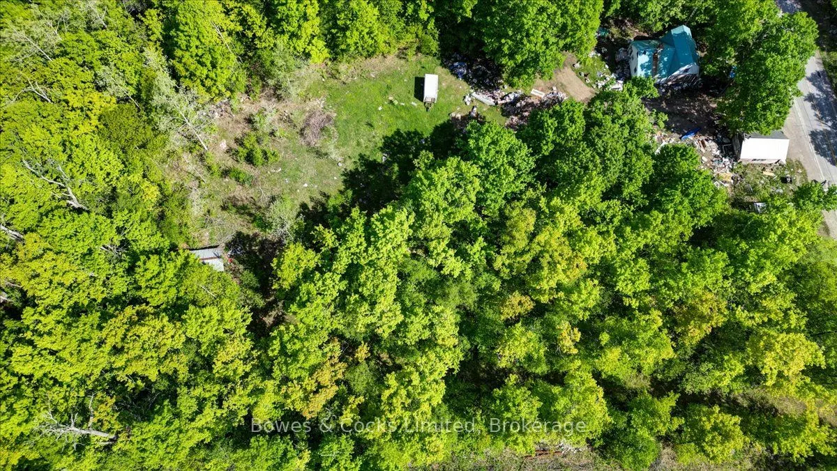 3463 County Road 44