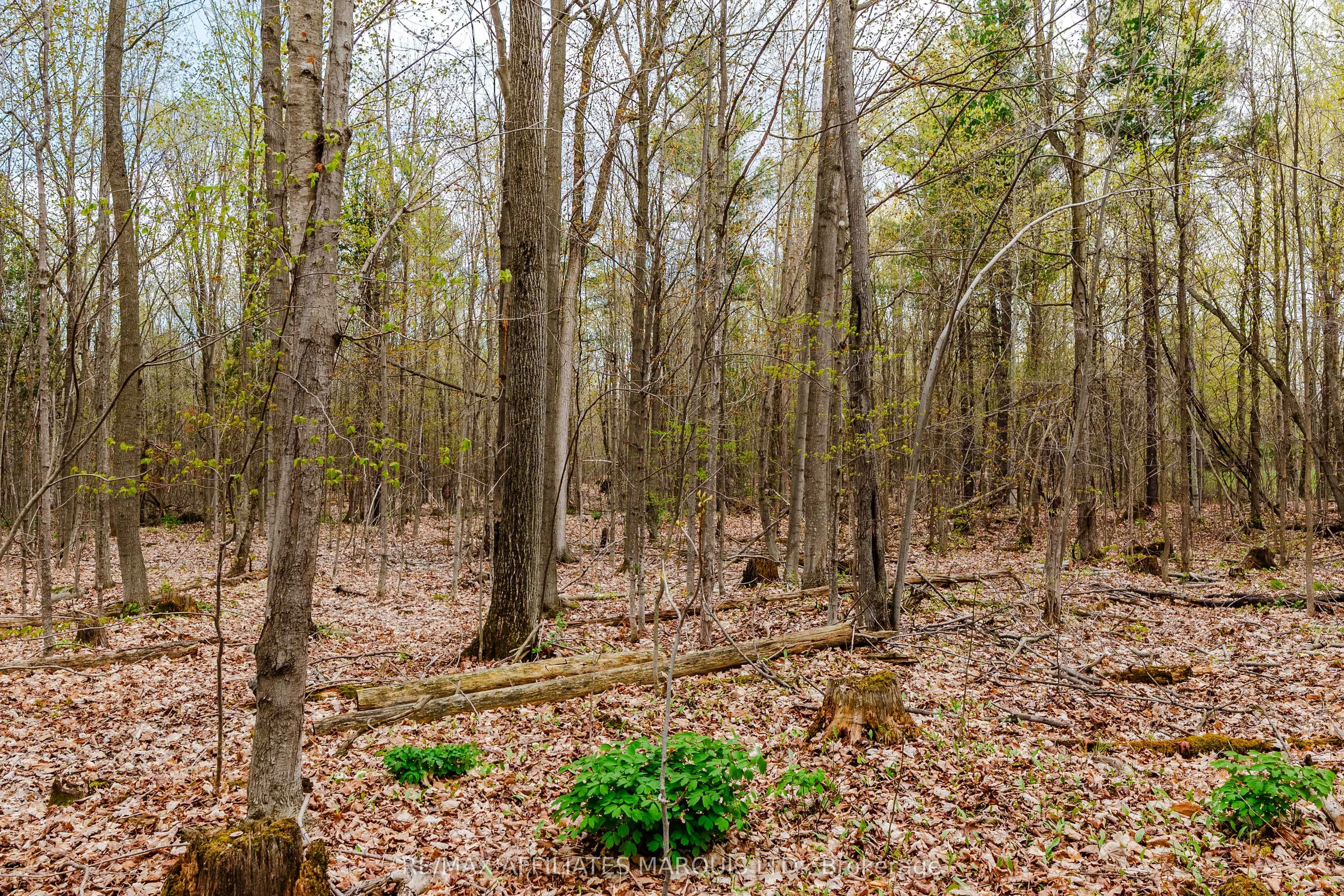 00000 Beaver Brook Road