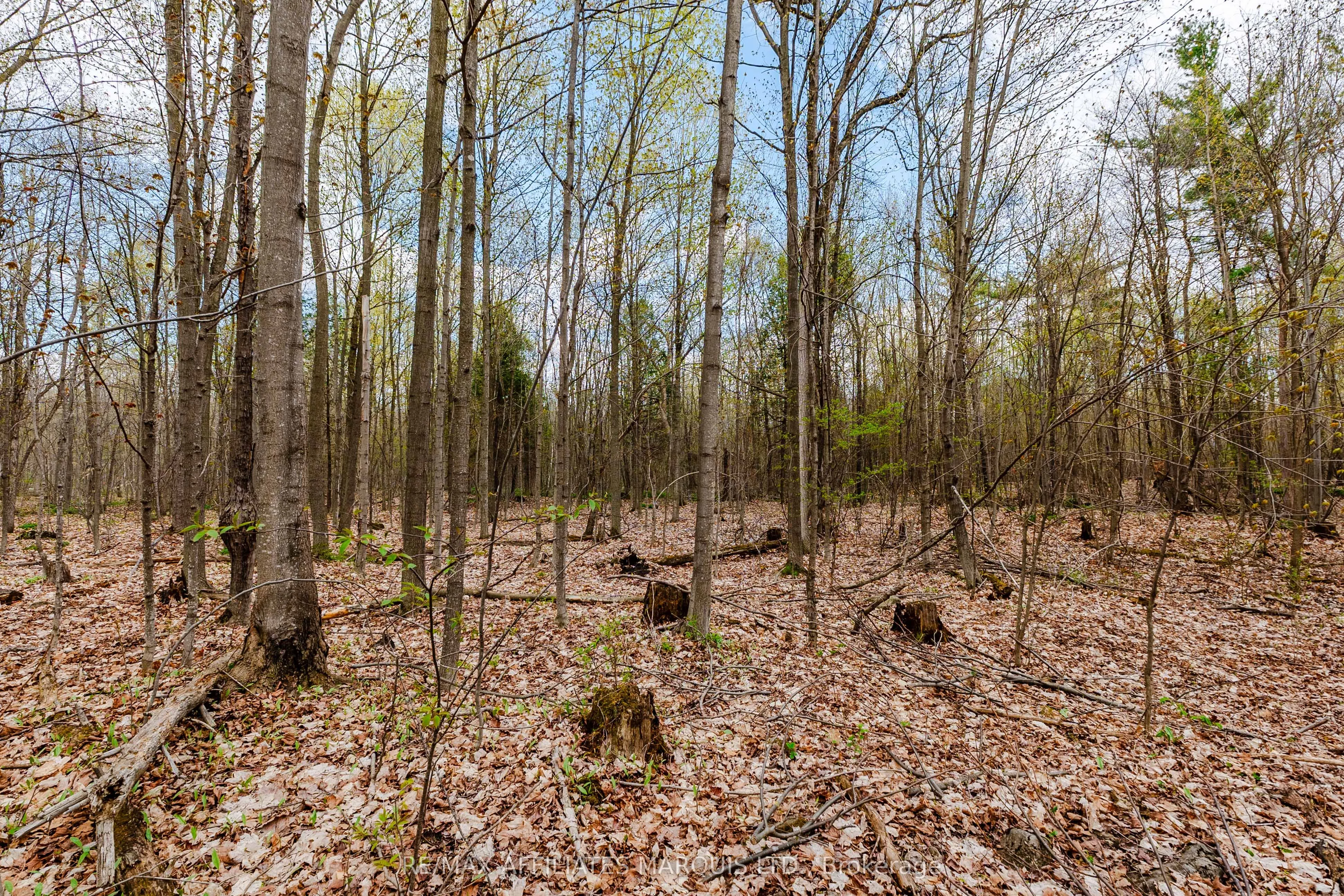 00000 Beaver Brook Road
