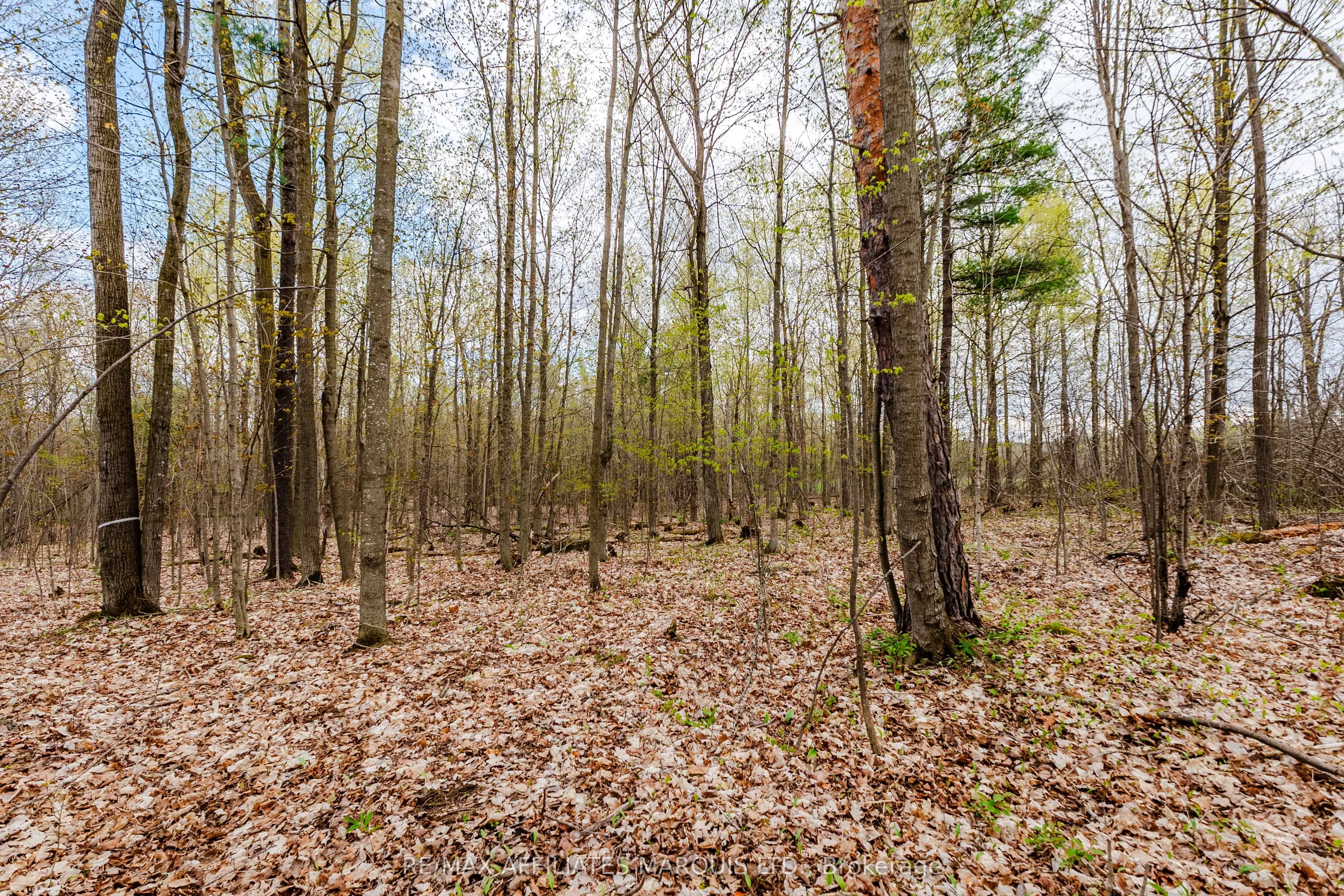 00000 Beaver Brook Road