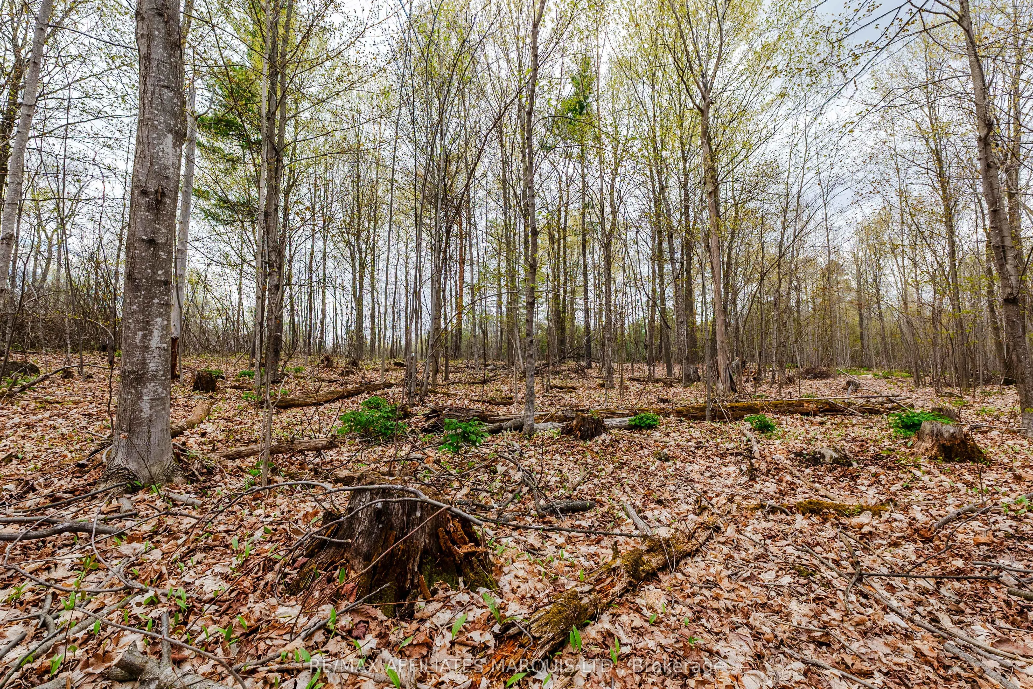 00000 Beaver Brook Road