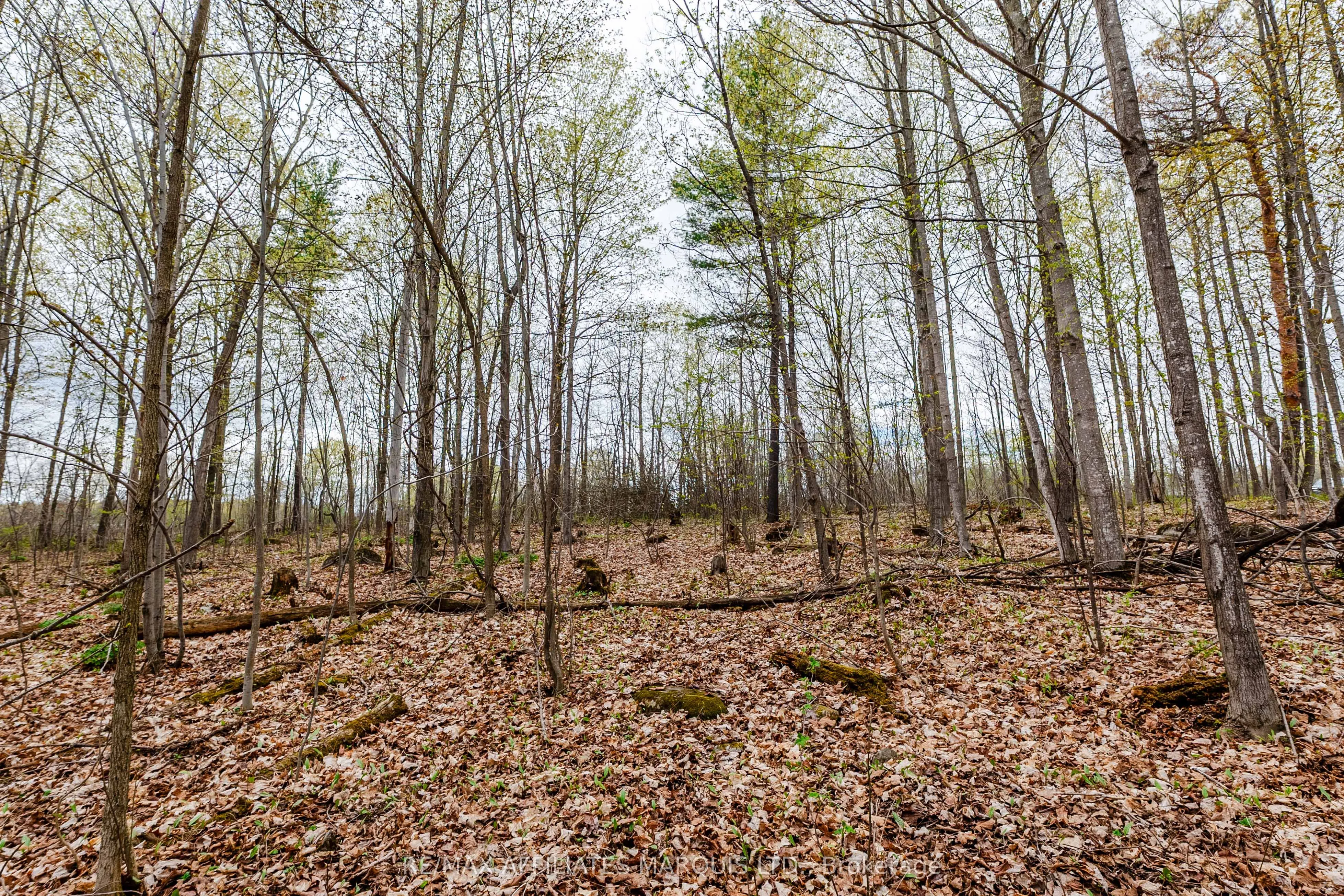 00000 Beaver Brook Road