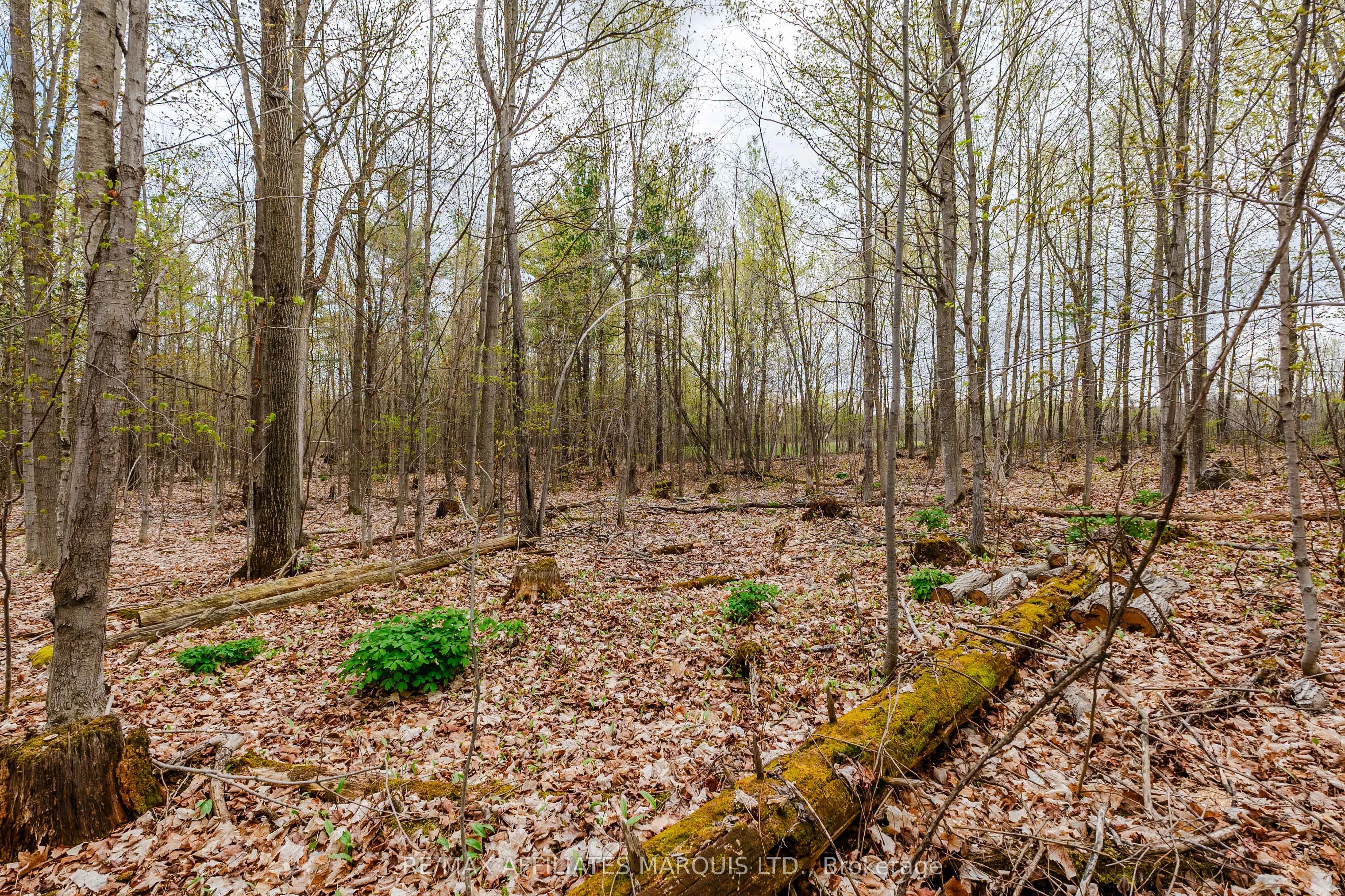 00000 Beaver Brook Road