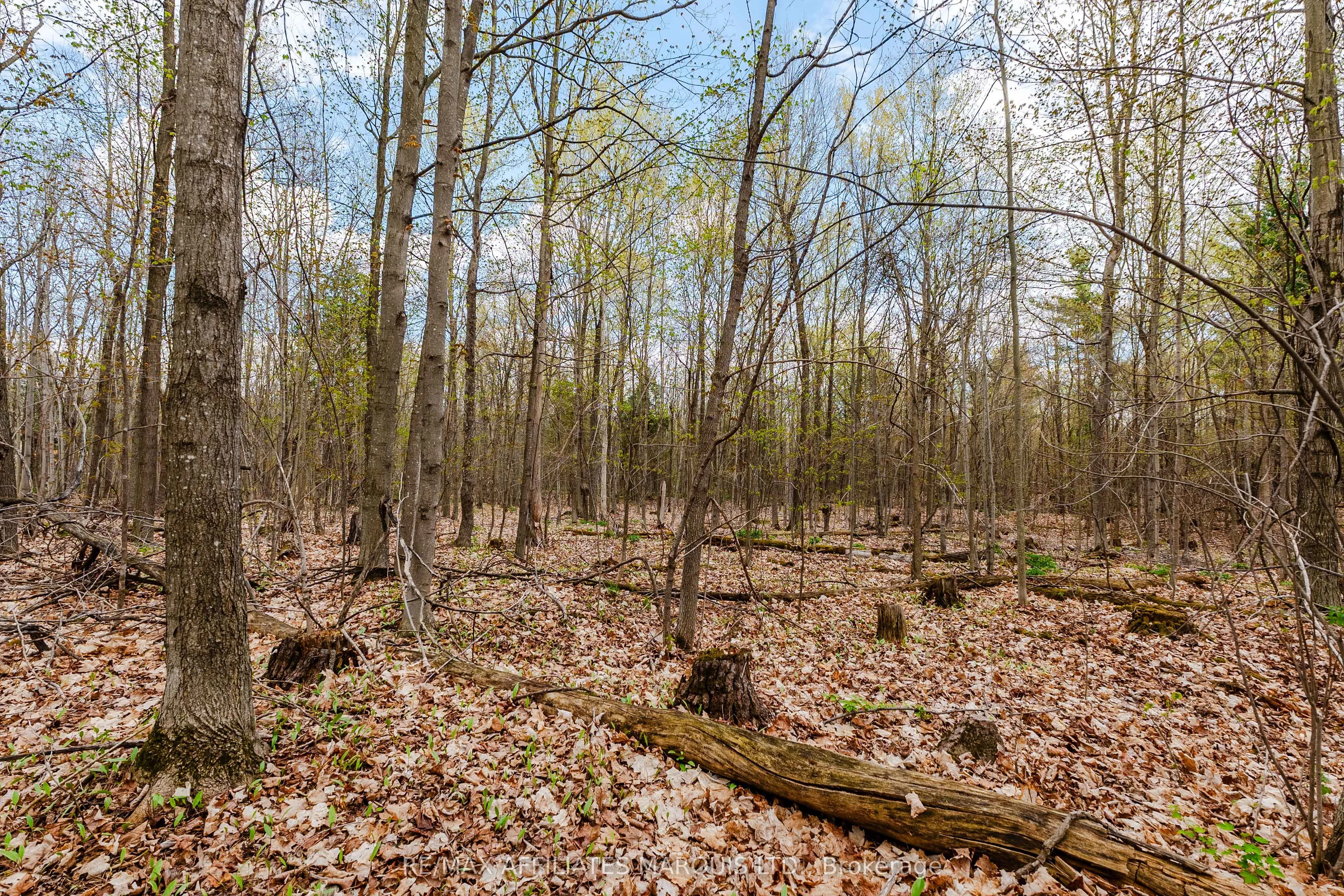 00000 Beaver Brook Road