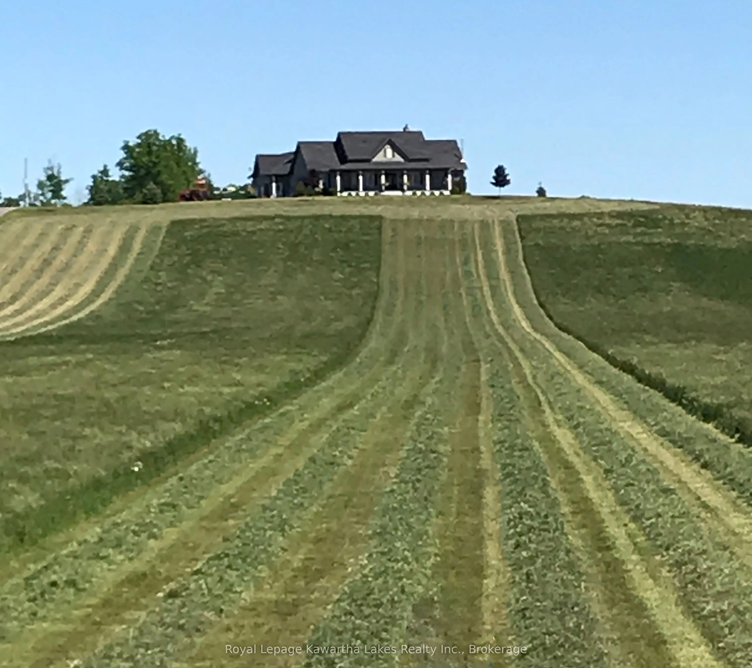431 Meadowview Road
