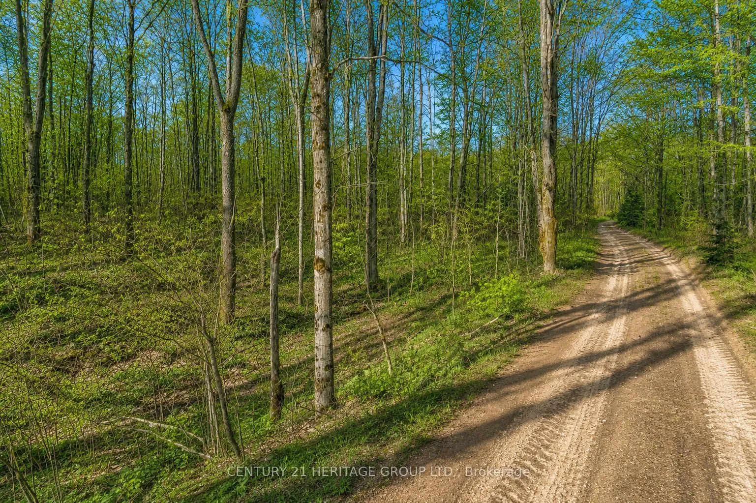 580223 SIDEROAD 60