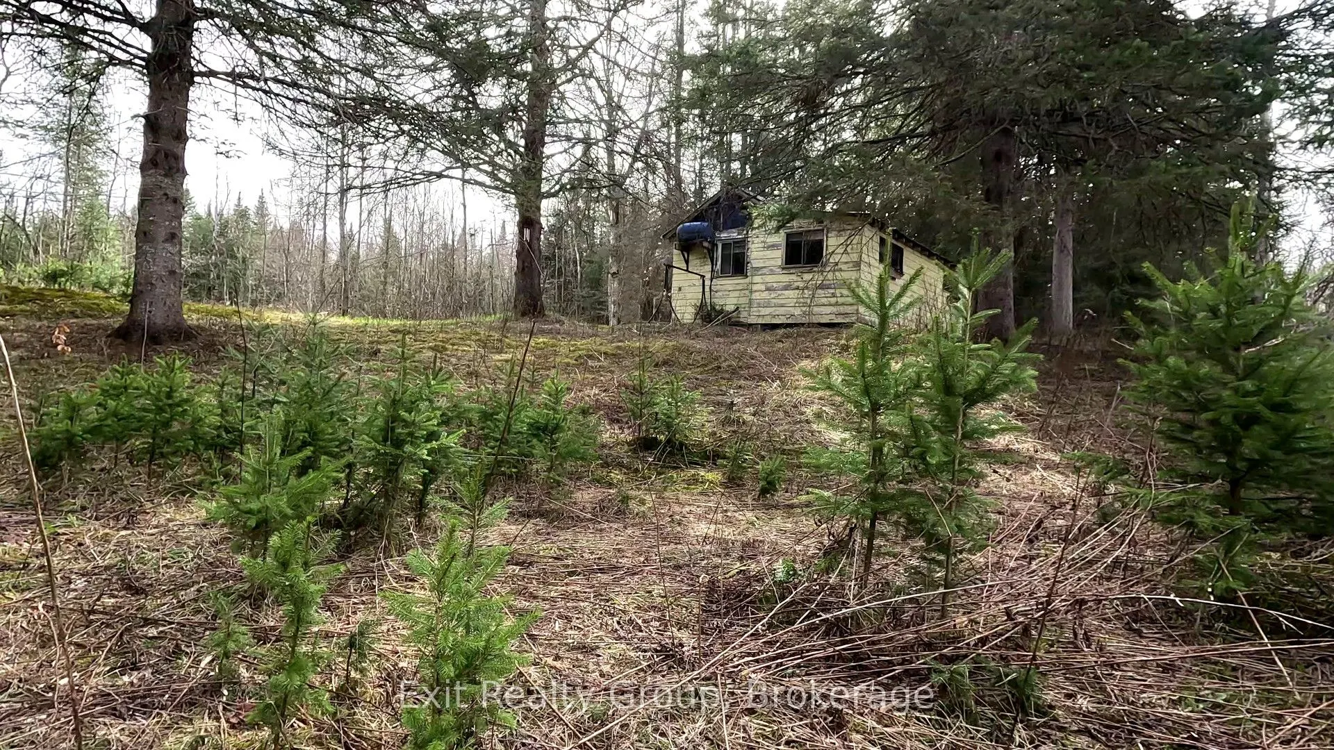 3606 County Road 620