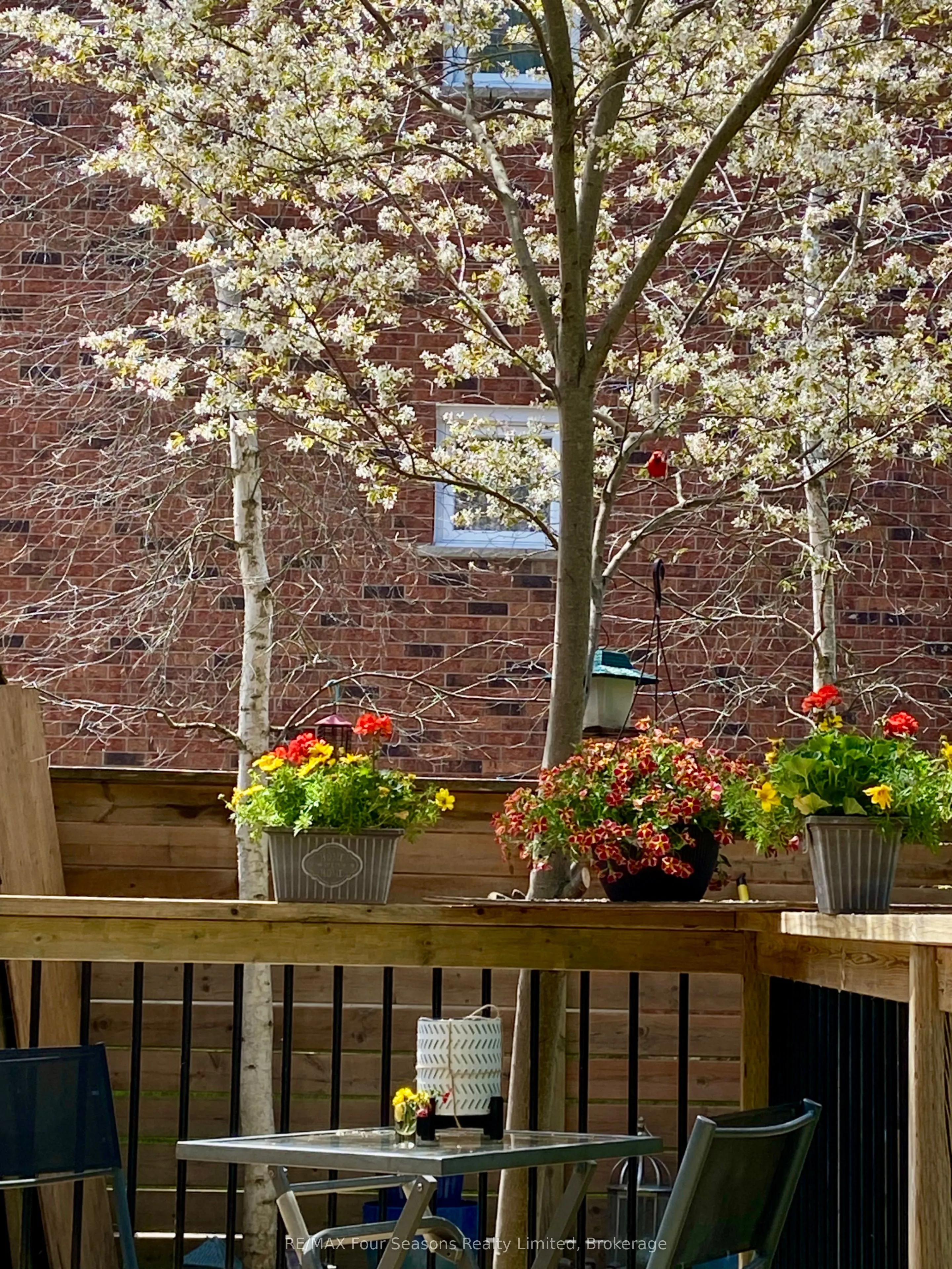 50 Amaranth Street W